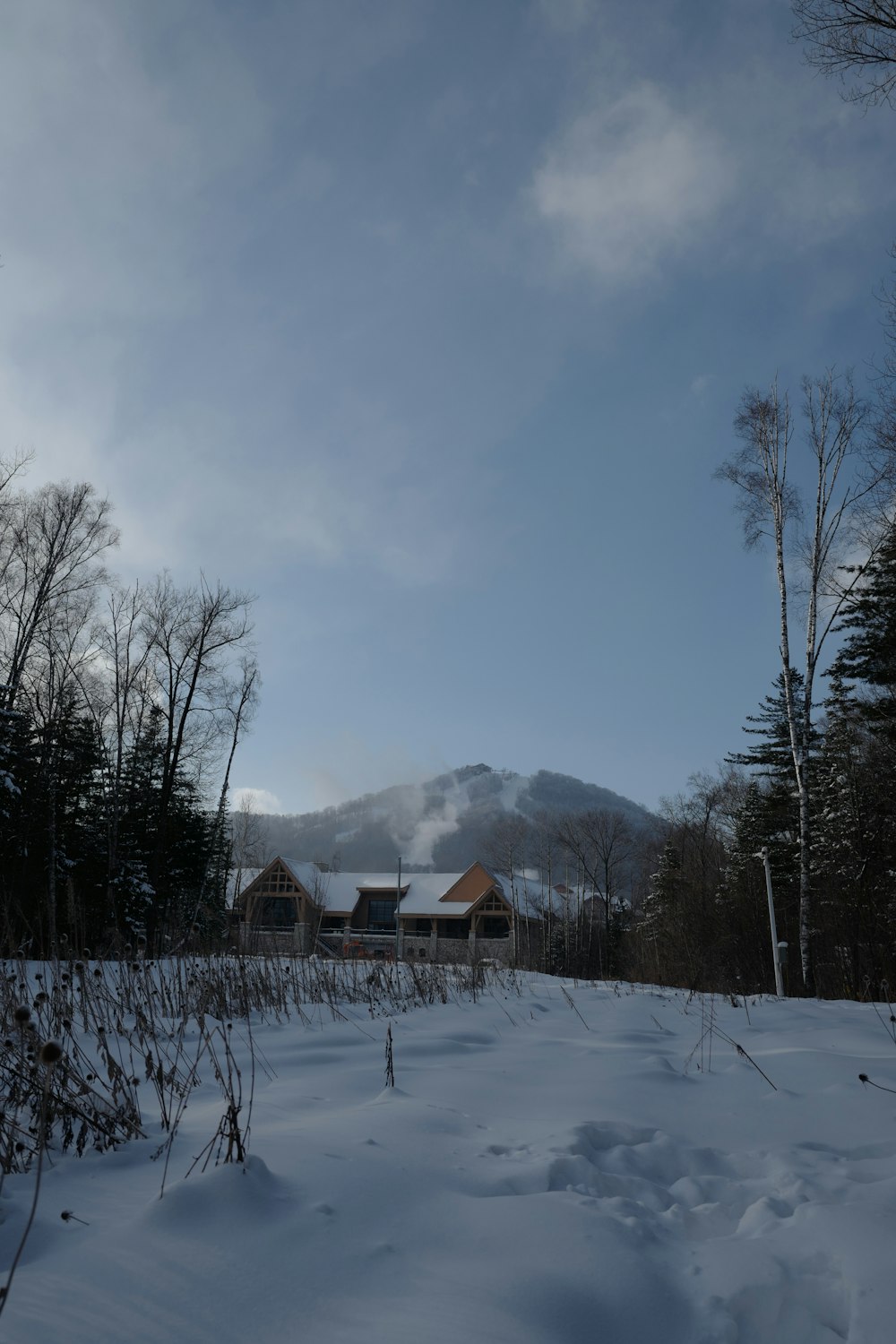 a snow covered field with a house in the background