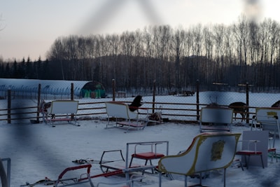 A group of smiling children gathered around friendly sled dogs at Centre Équestre Ranch Robert, preparing for their adventure.