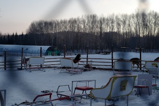 A group of smiling children gathered around friendly sled dogs at Centre Équestre Ranch Robert, preparing for their adventure.