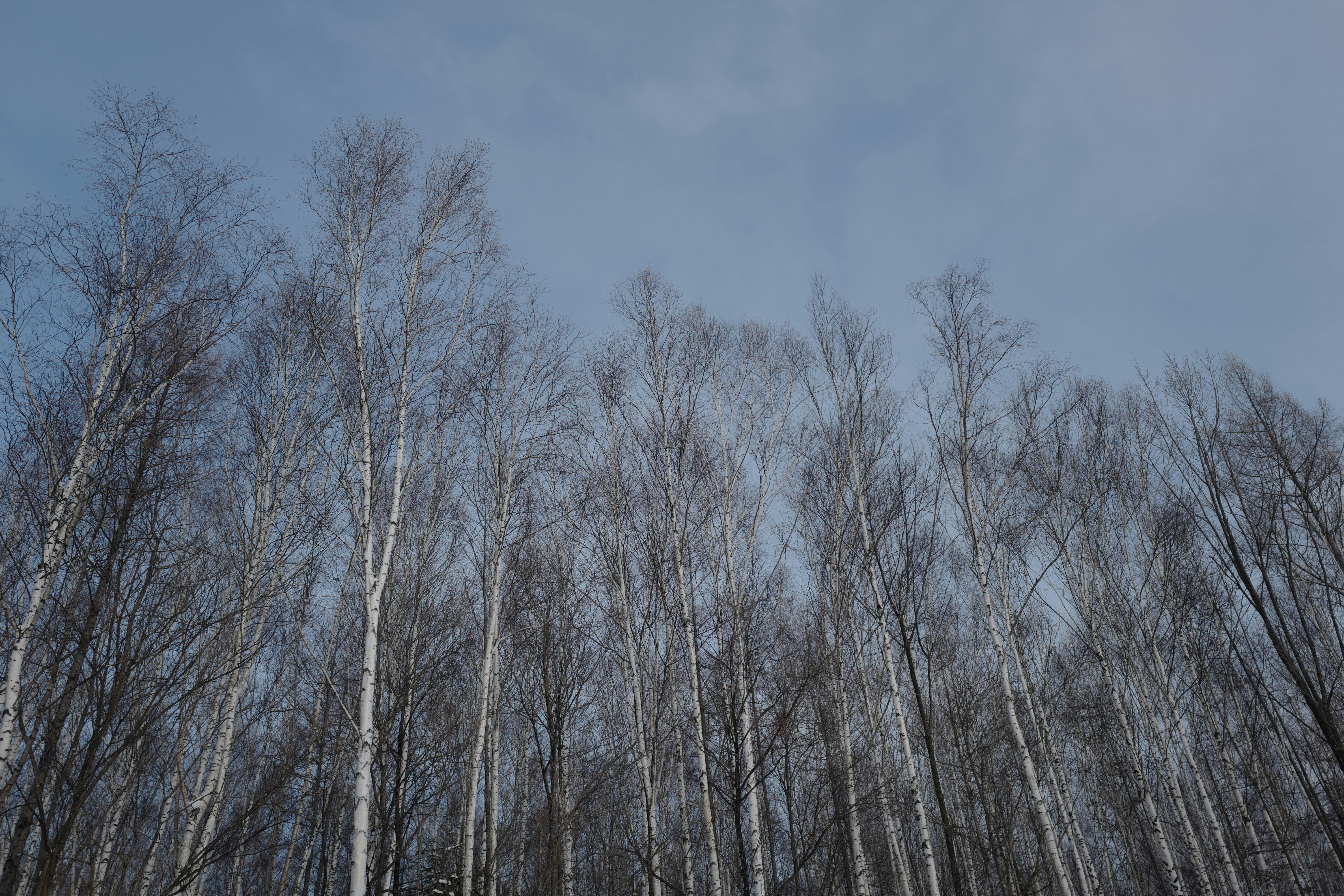 NBS destination photo