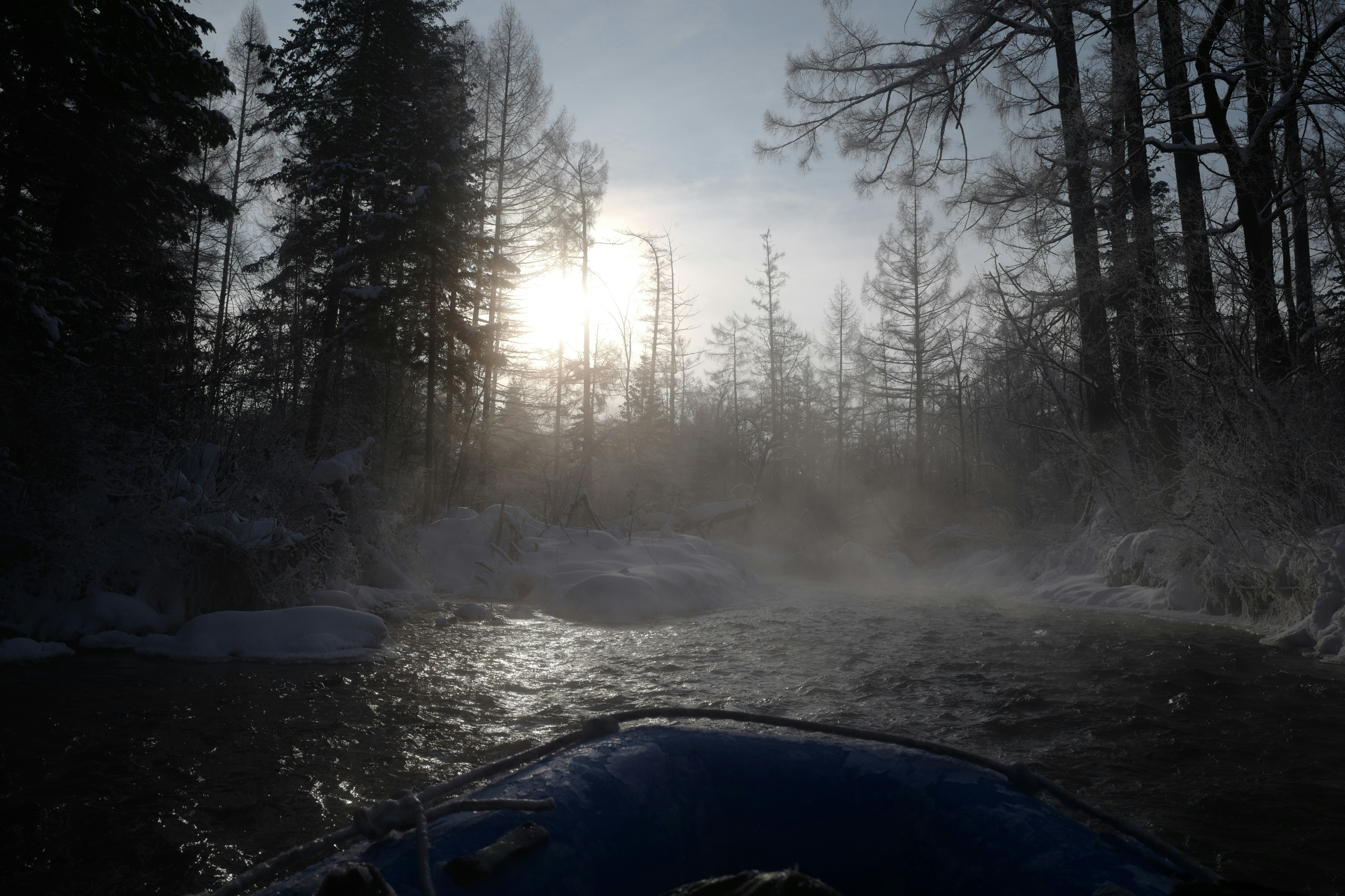 the sun shines through the trees on a cold day