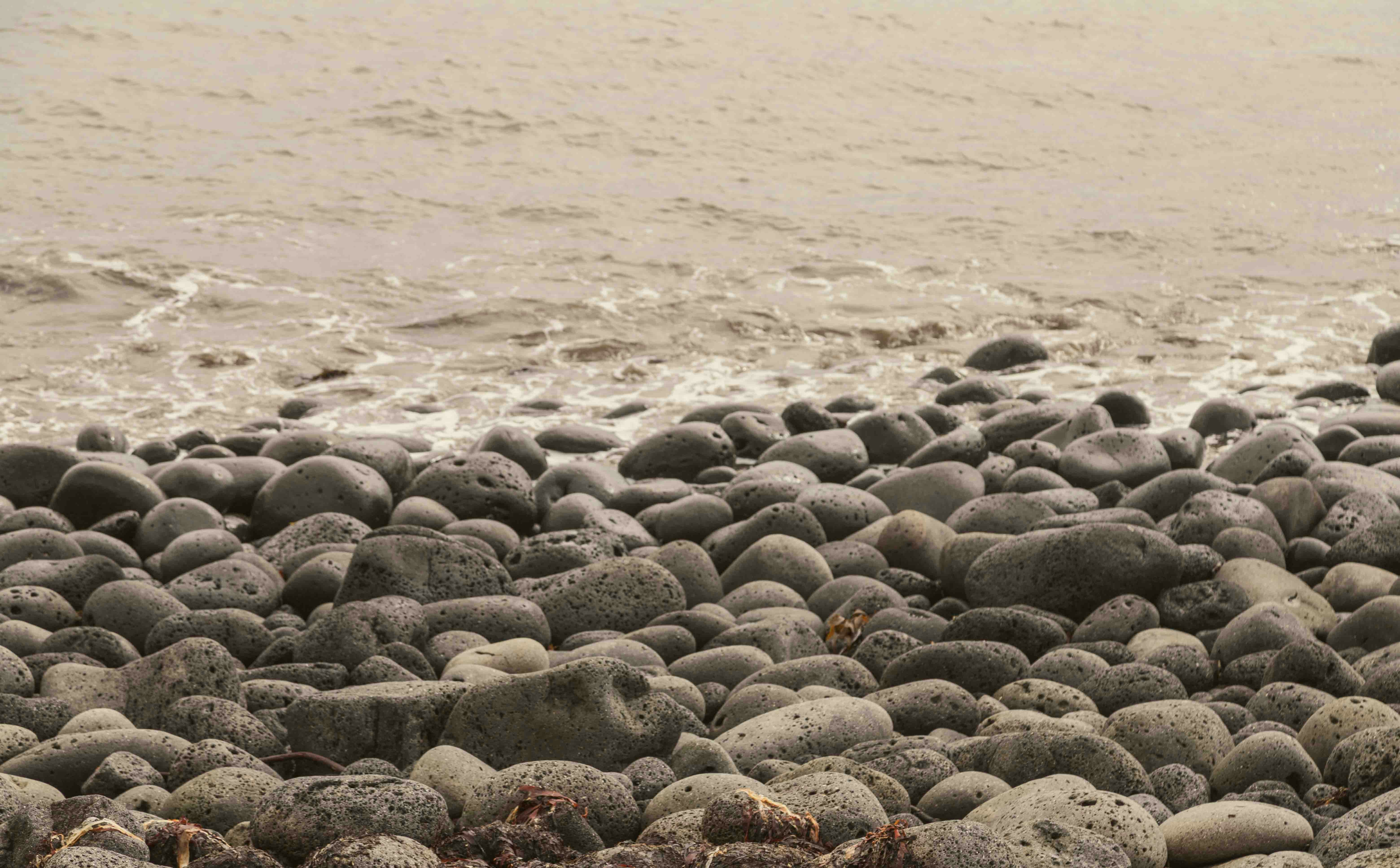 a bird standing on top of a pile of rocks next to the ocean