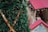 A large, decorated Christmas tree with green pine branches and red berries is prominently featured in the foreground. The tree is adorned with metallic gold ribbons. In the background, there are red-roofed stalls, resembling a holiday market setting.