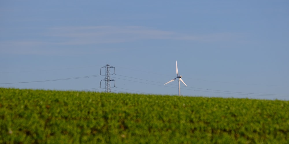 una turbina eolica in un campo verde con linee elettriche sullo sfondo