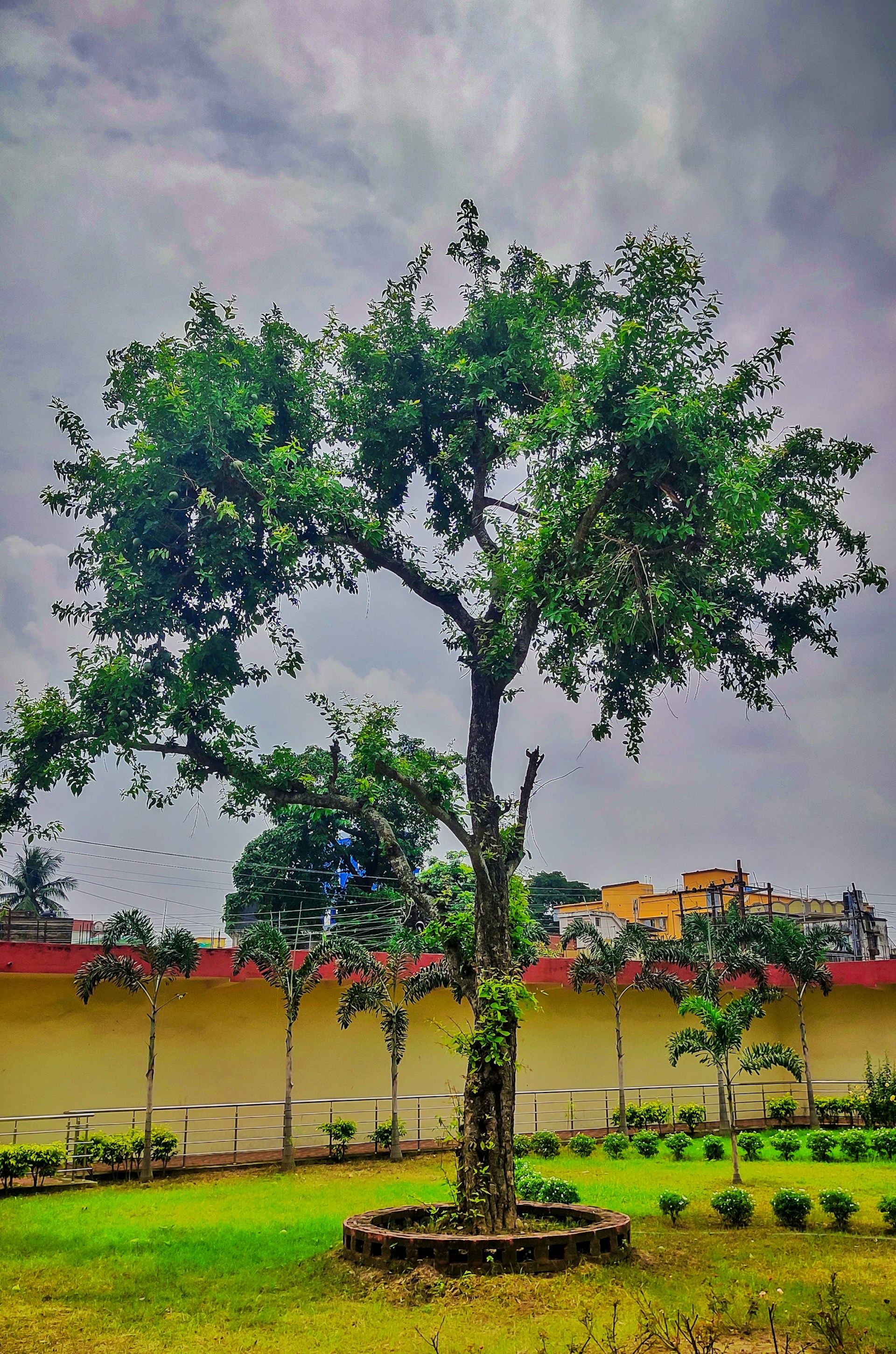 gray computer monitor