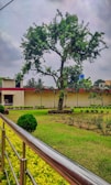 A well-maintained garden with a large tree at the center, surrounded by neatly trimmed grass and small shrubs. The scene is bordered by a metal railing, and a yellow building is visible in the background. The sky is overcast, creating a calm and serene atmosphere.