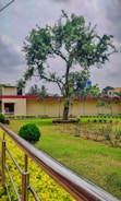 A well-maintained garden with a large tree at the center, surrounded by neatly trimmed grass and small shrubs. The scene is bordered by a metal railing, and a yellow building is visible in the background. The sky is overcast, creating a calm and serene atmosphere.