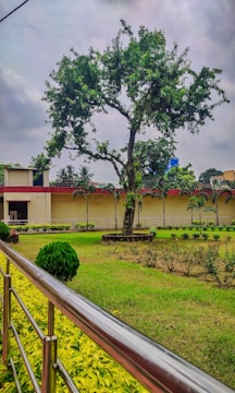 A well-maintained garden with a large tree at the center, surrounded by neatly trimmed grass and small shrubs. The scene is bordered by a metal railing, and a yellow building is visible in the background. The sky is overcast, creating a calm and serene atmosphere.