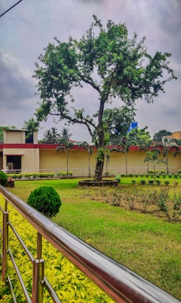 A well-maintained garden with a large tree at the center, surrounded by neatly trimmed grass and small shrubs. The scene is bordered by a metal railing, and a yellow building is visible in the background. The sky is overcast, creating a calm and serene atmosphere.