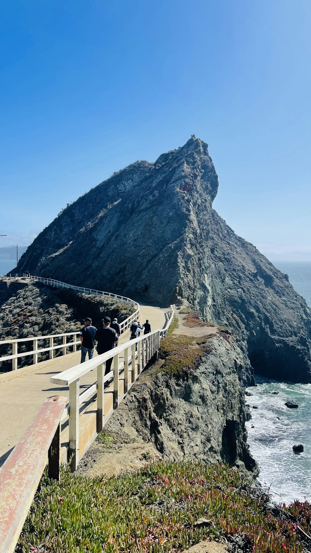 people walking on a path near the ocean