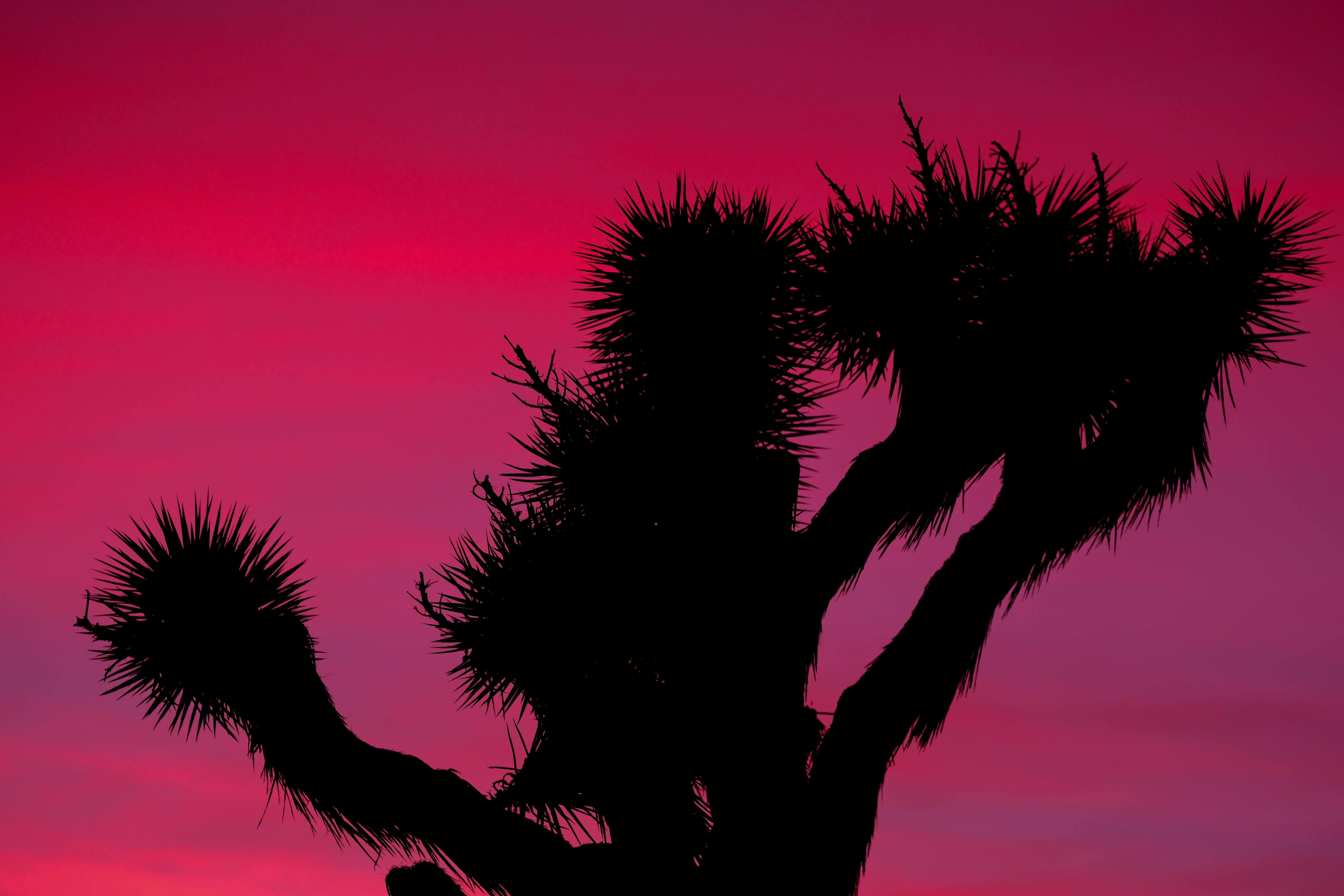 Photo by cestmoisheedy