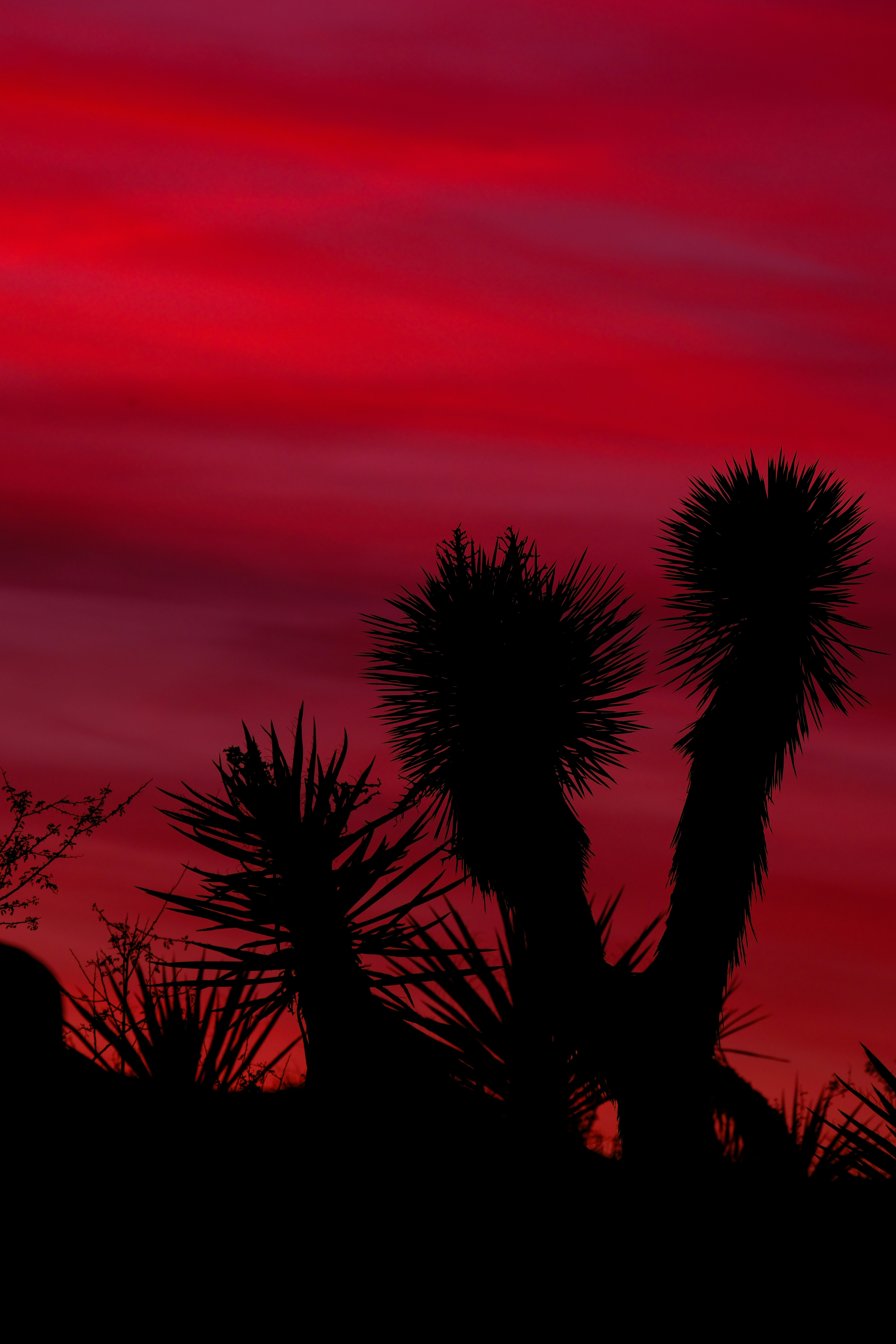 Photo by cestmoisheedy