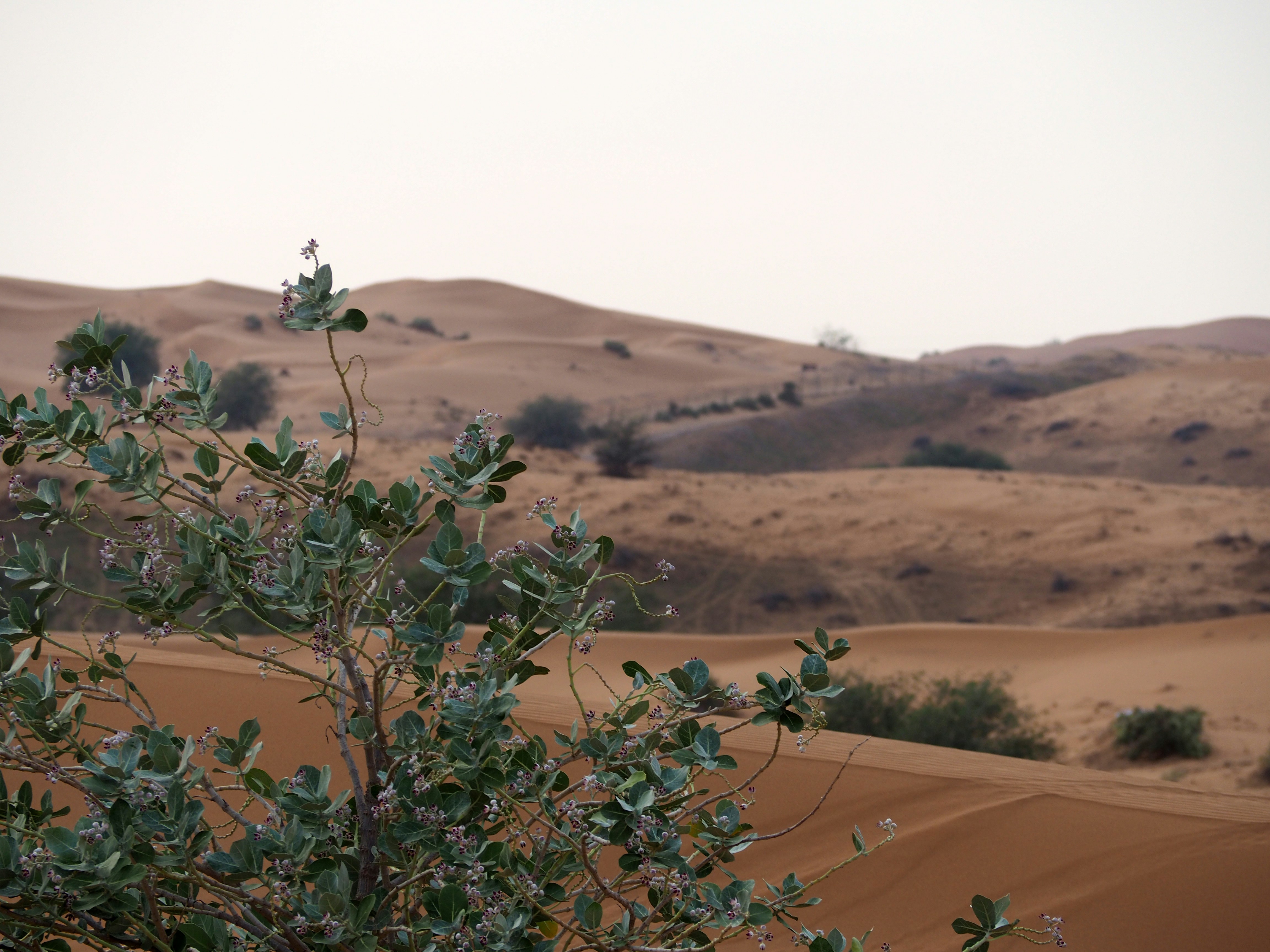 Photo by rockwell_branding_agency