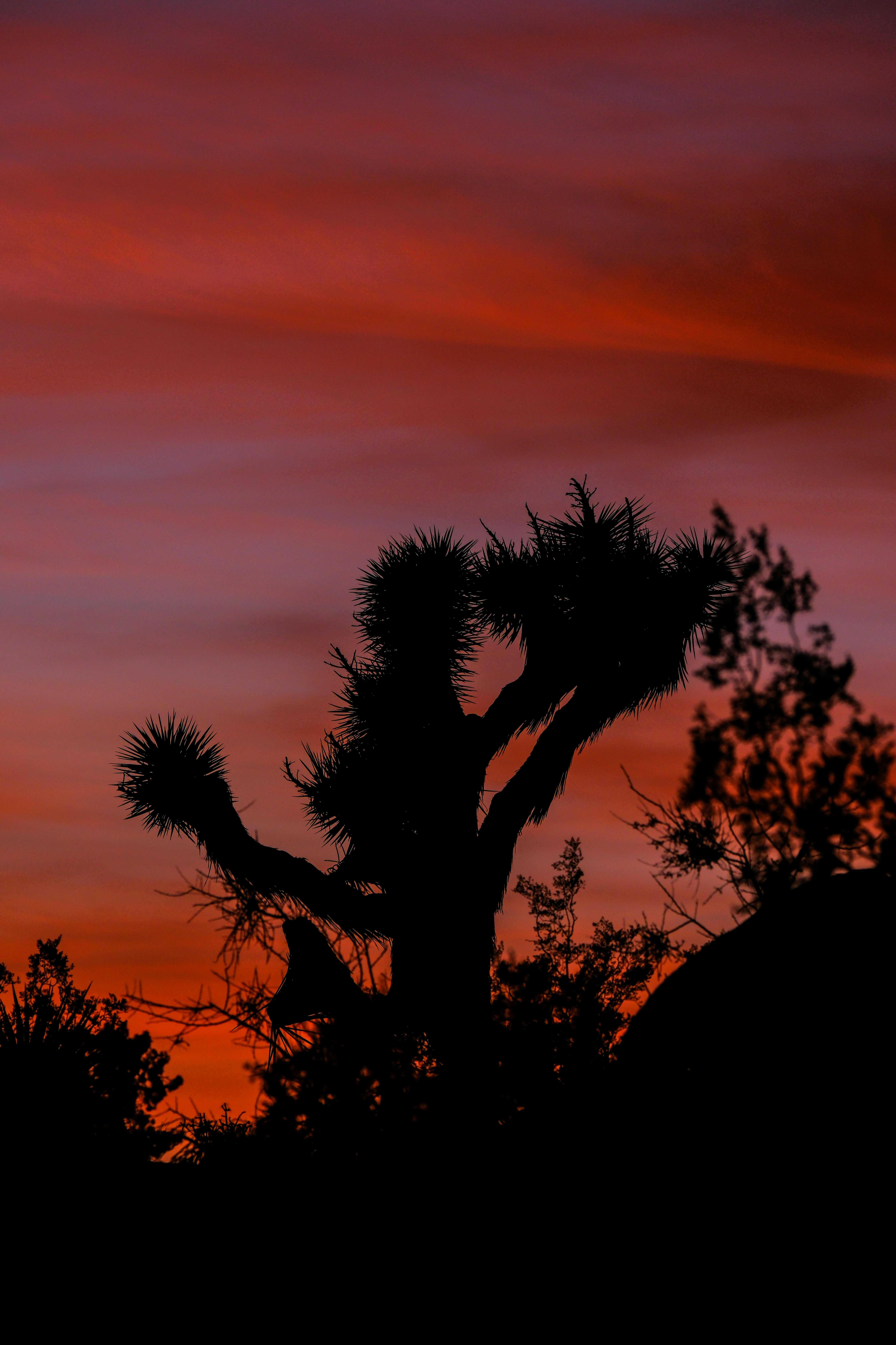 Photo by cestmoisheedy