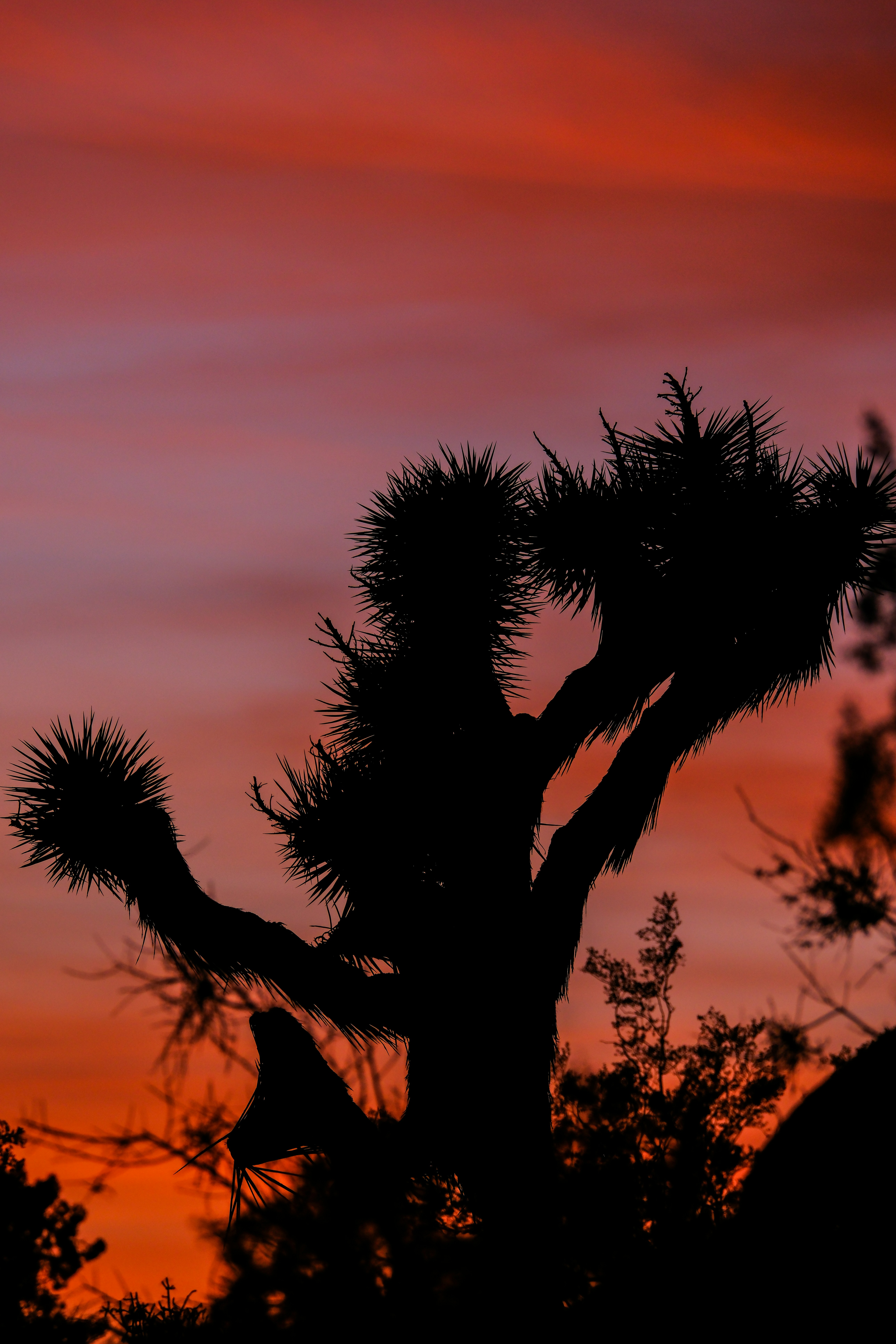 Photo by cestmoisheedy