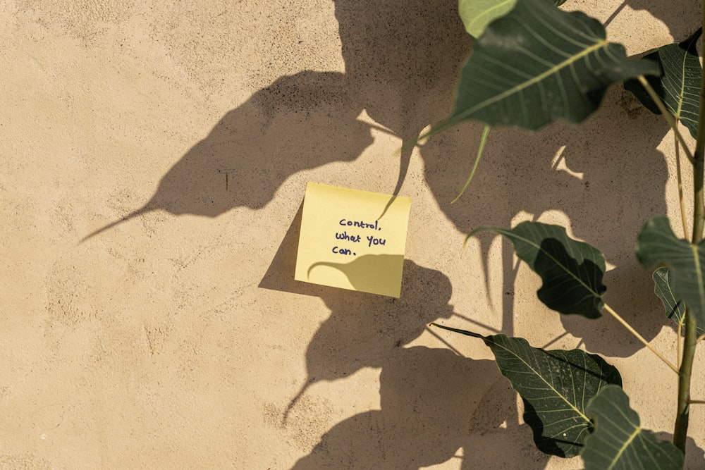 a sticky note attached to a wall next to a plant