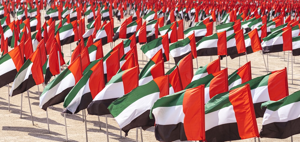 many flags are lined up in rows on the beach