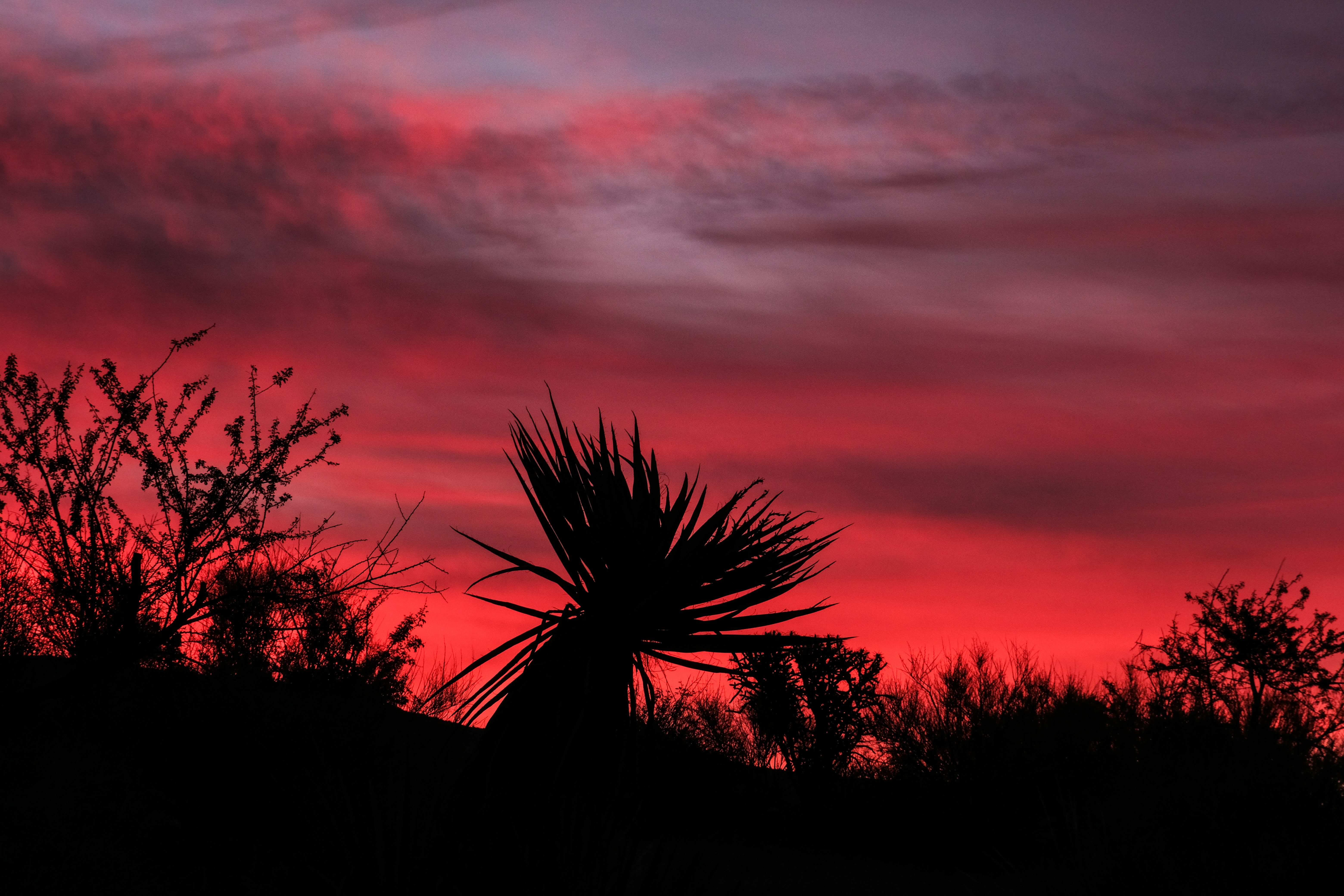 Photo by cestmoisheedy