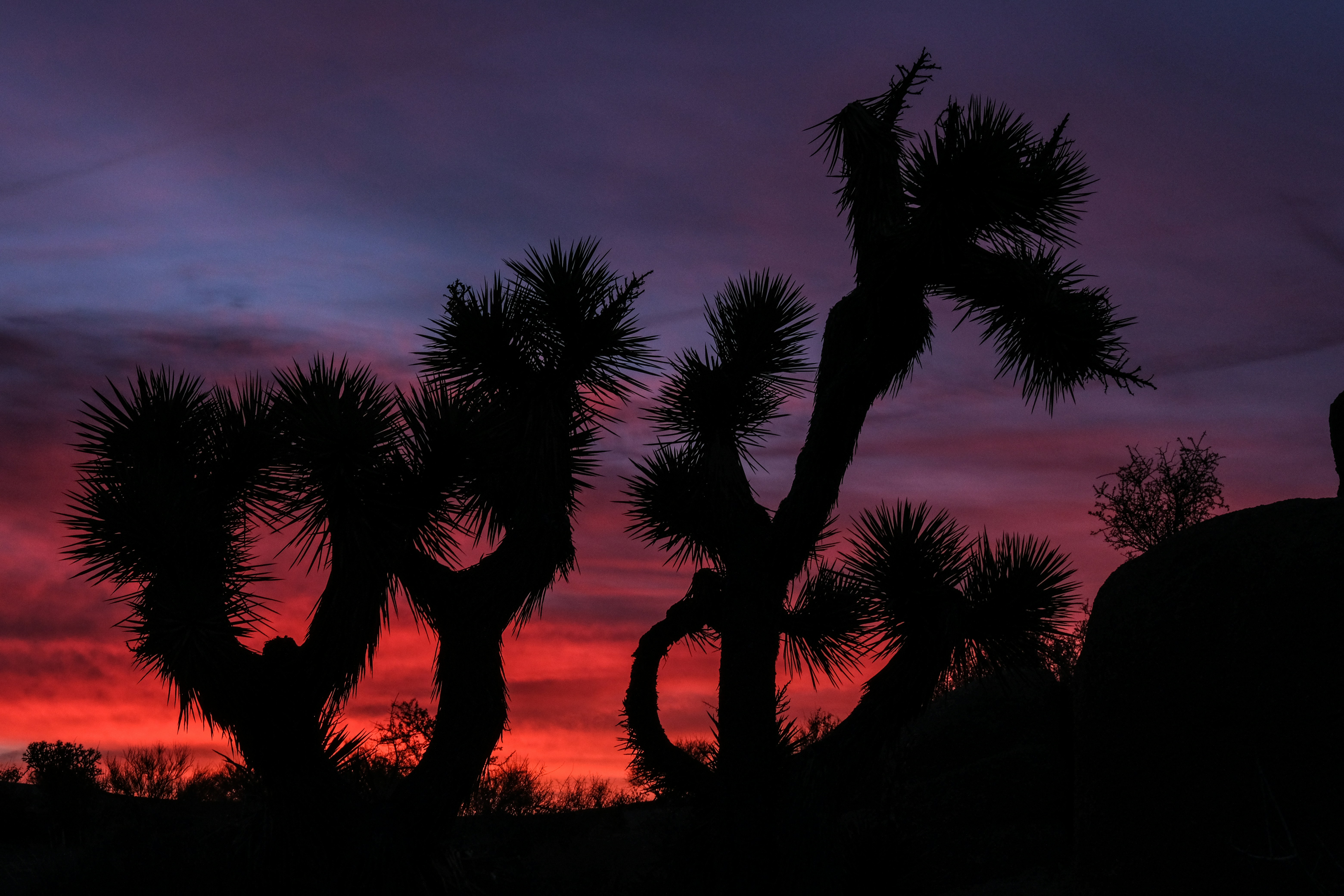 Photo by cestmoisheedy