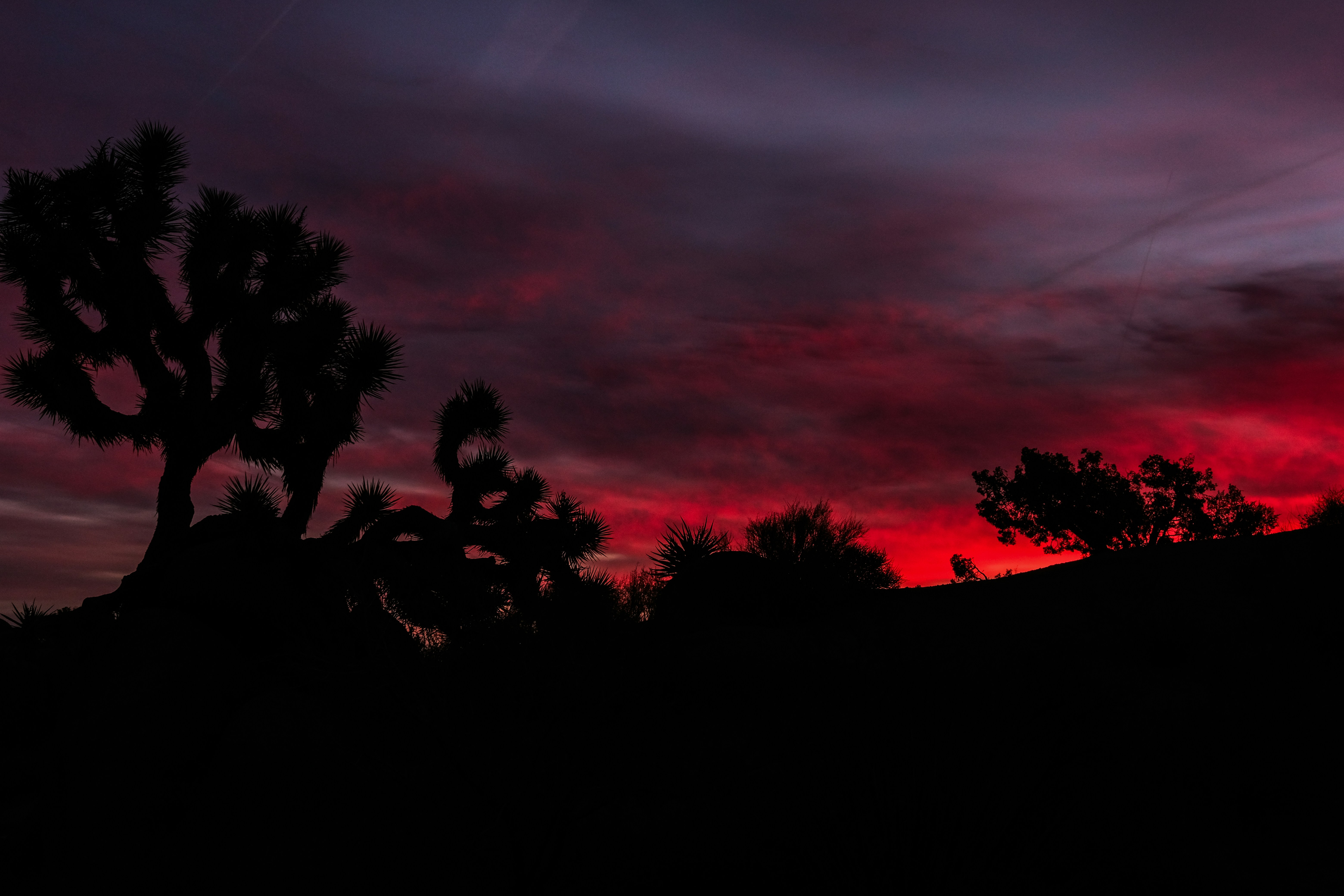 Photo by cestmoisheedy