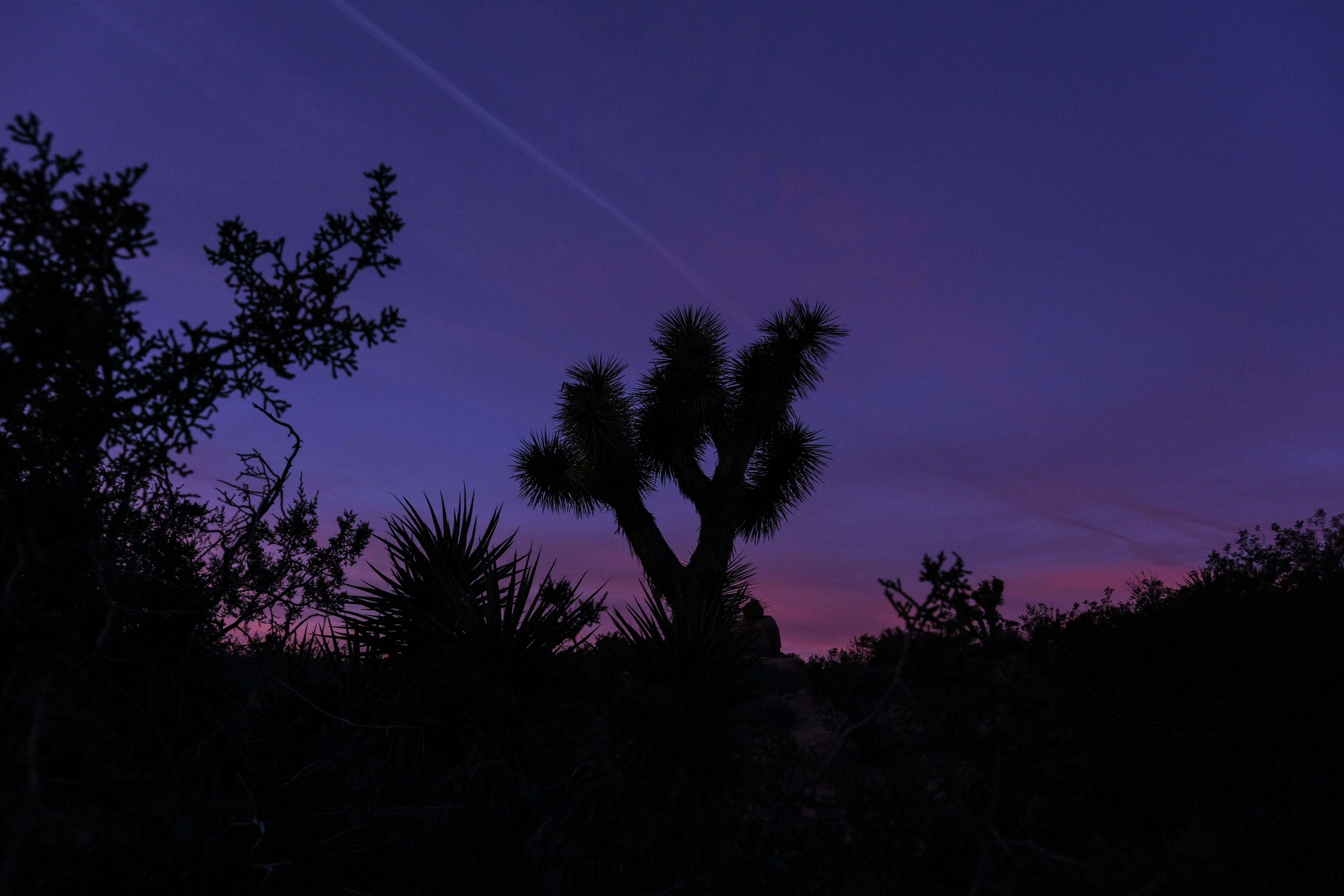 Photo by cestmoisheedy