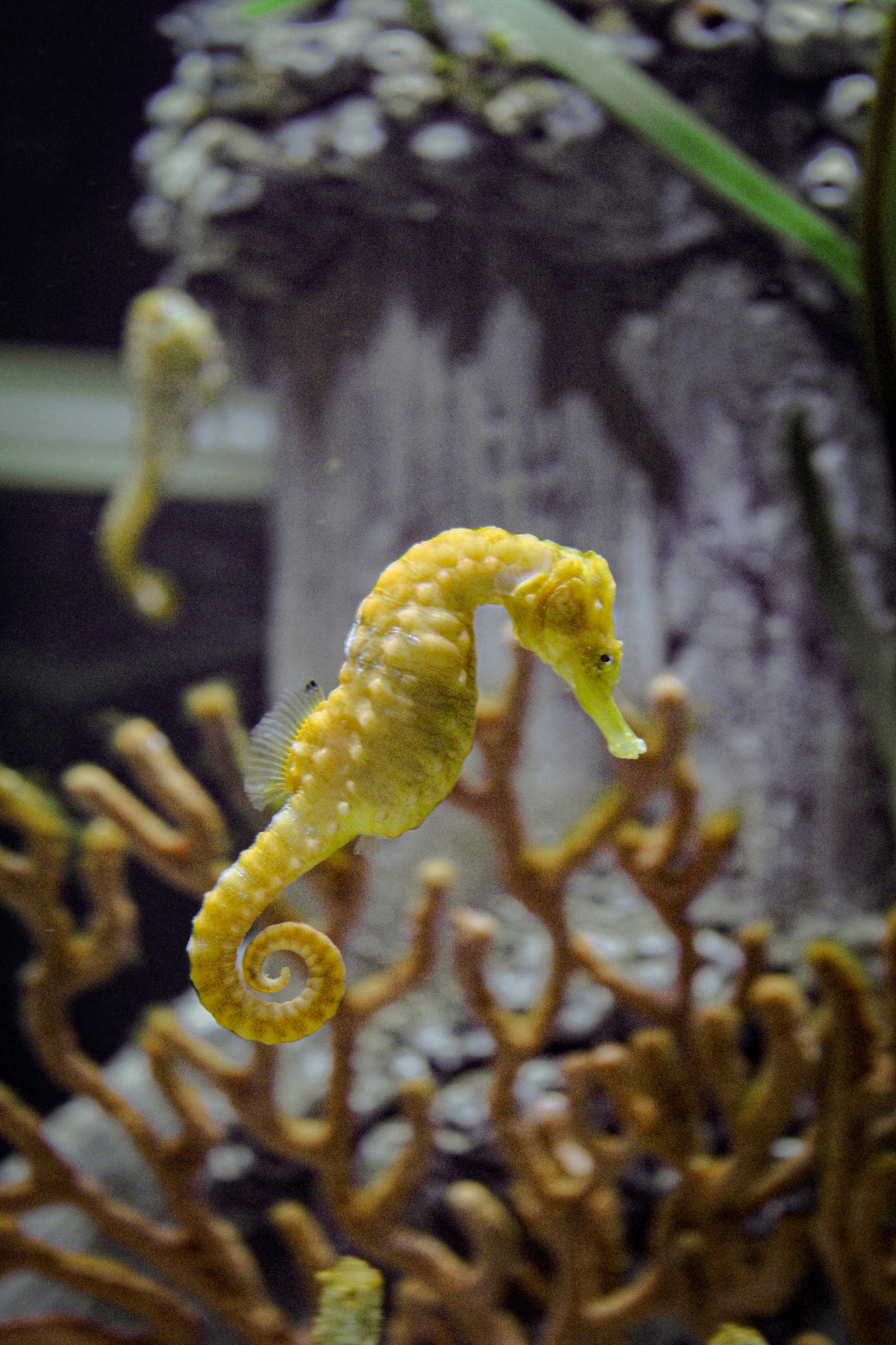 Photo by hh_photography5