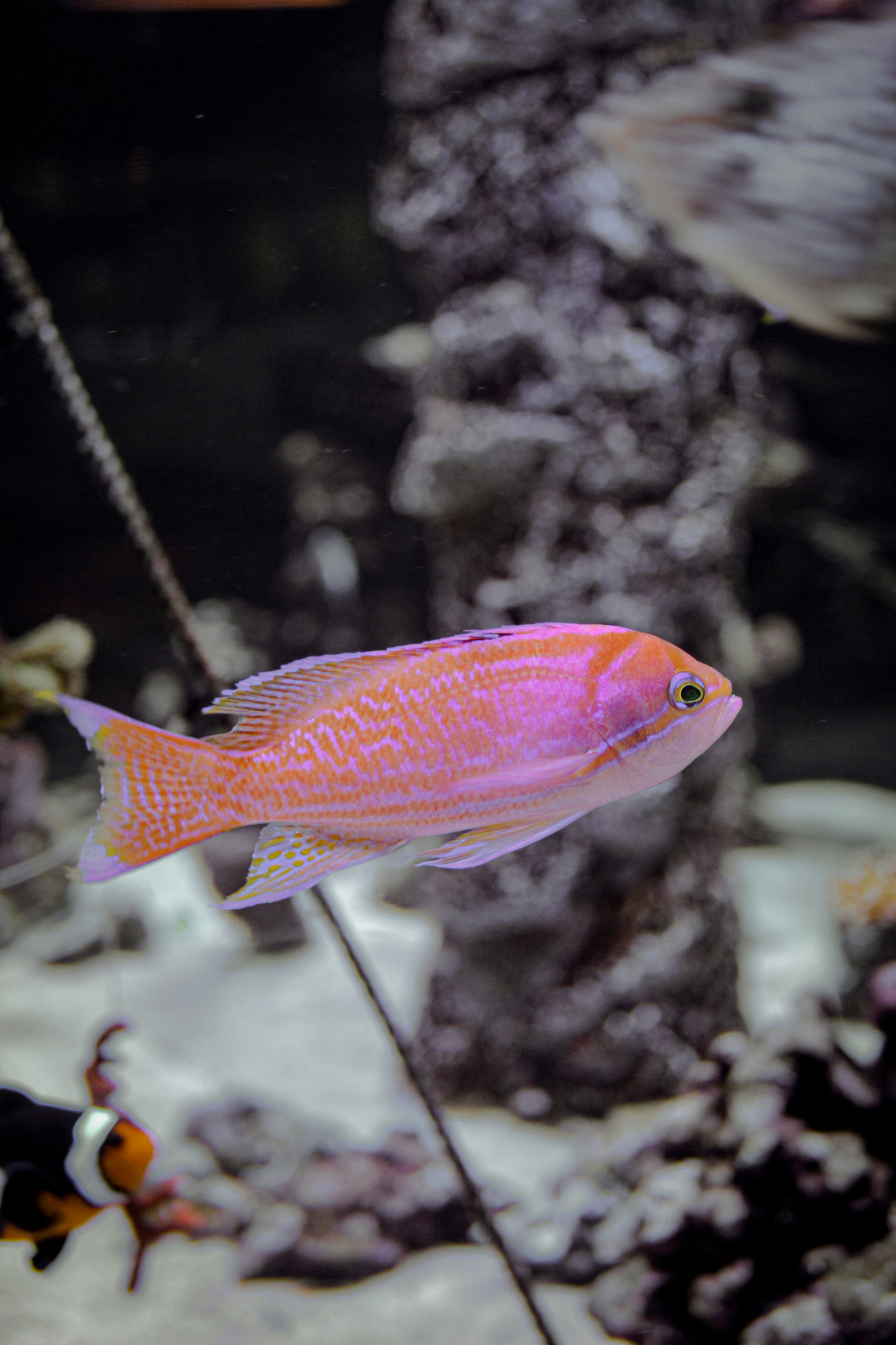 Photo by hh_photography5