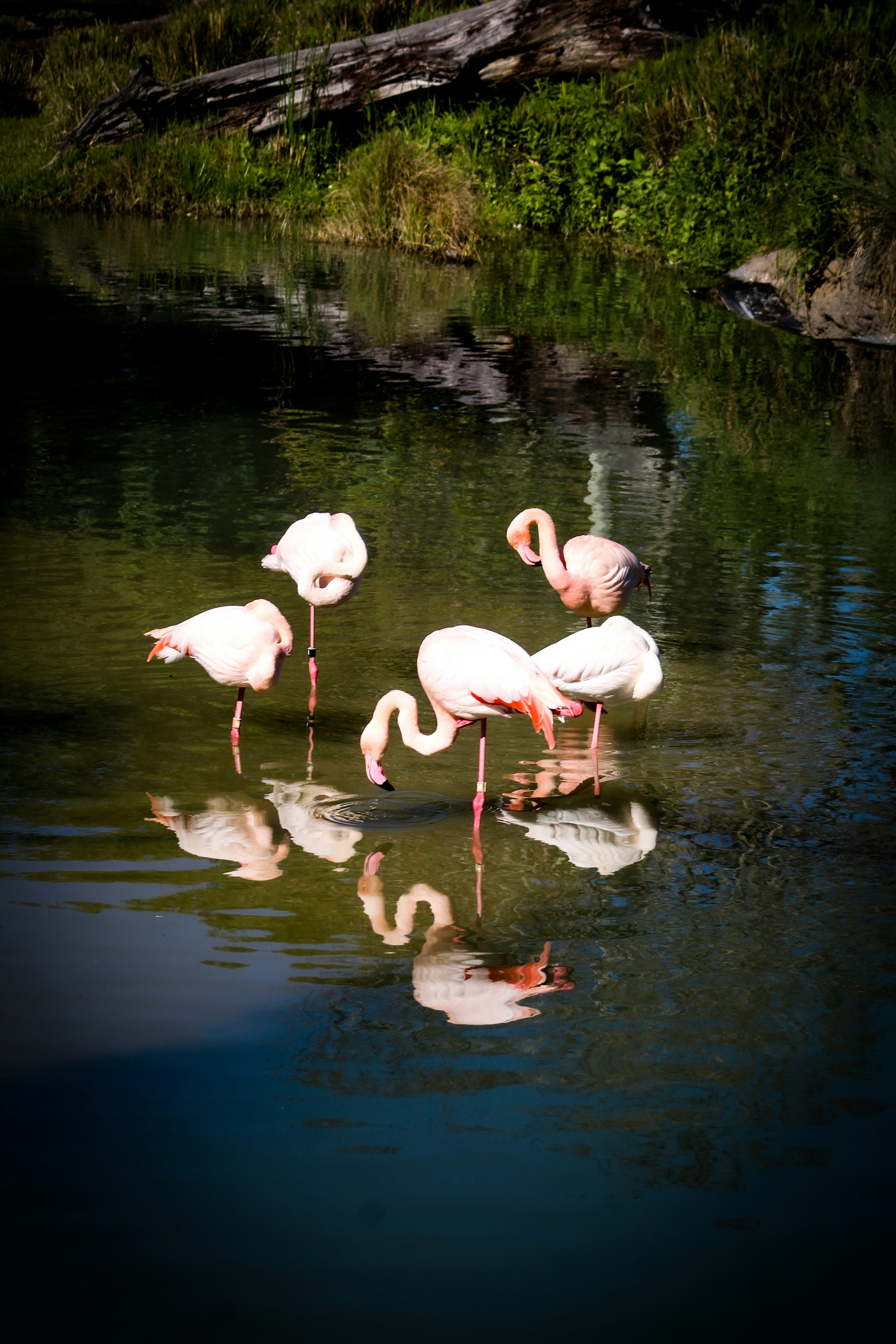 Photo by hh_photography5