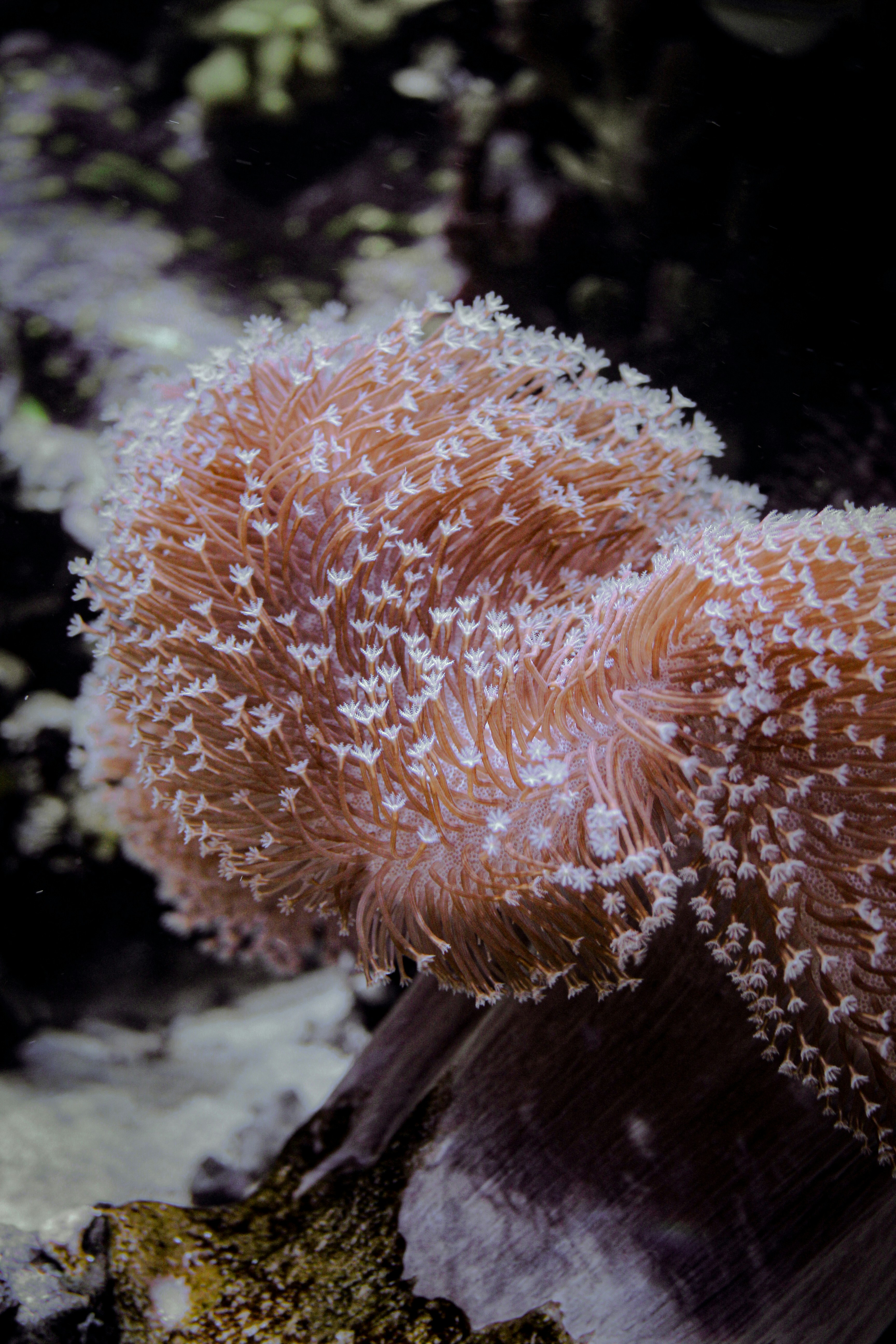 Photo by hh_photography5