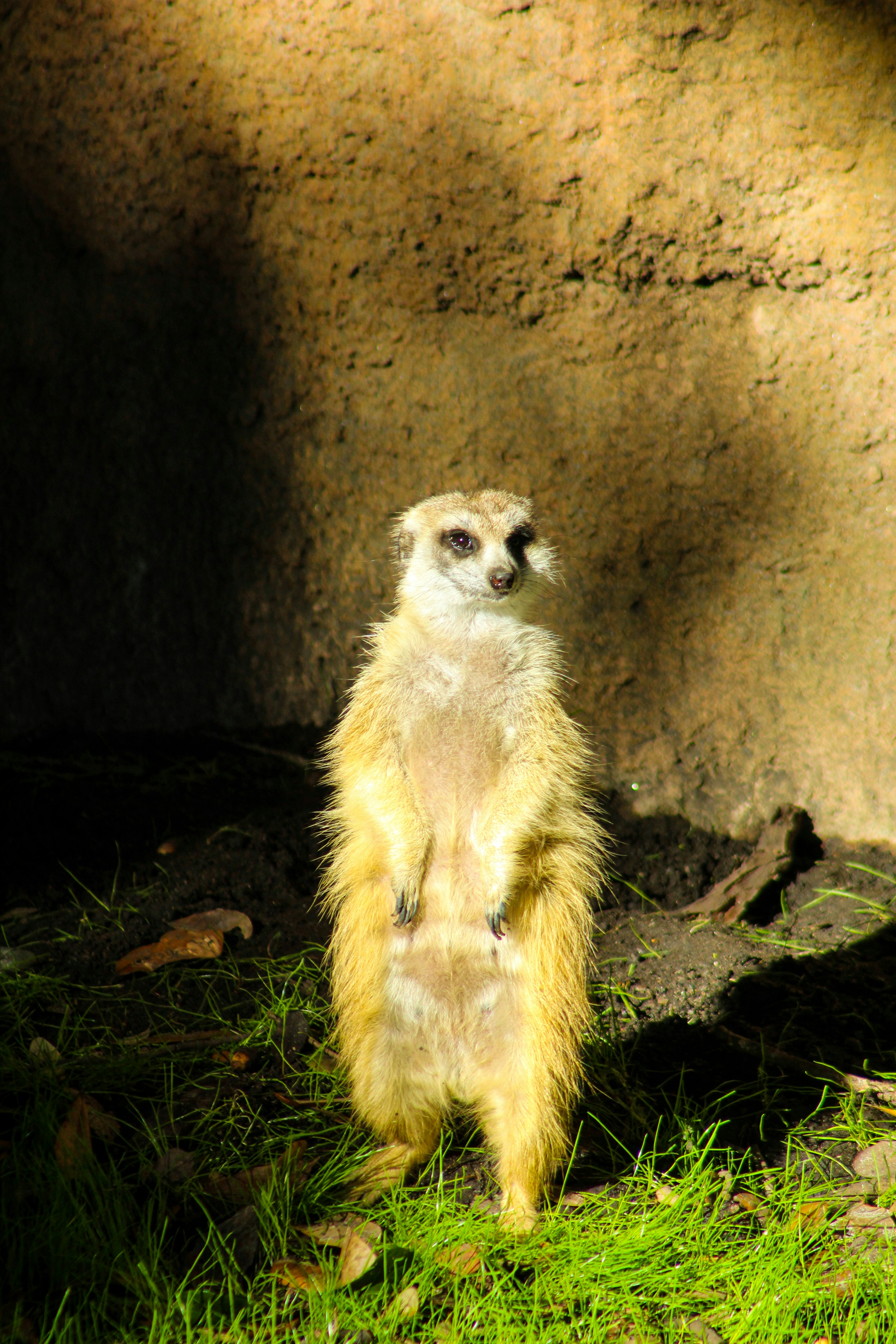 Photo by hh_photography5