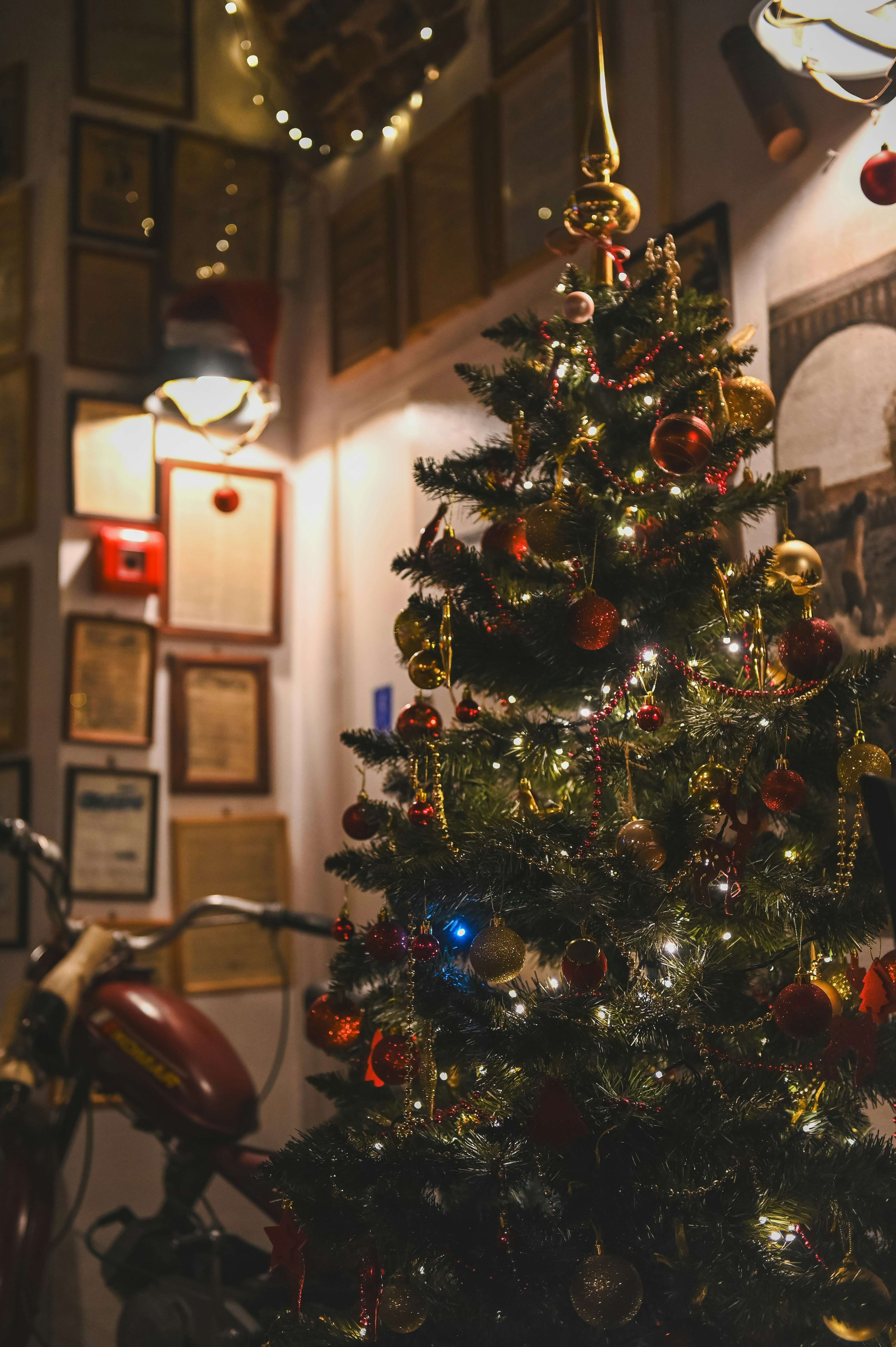 Photo by alexandra_p_d