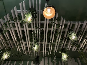 PVC ceiling panels installed in a stylish living area with green accents.