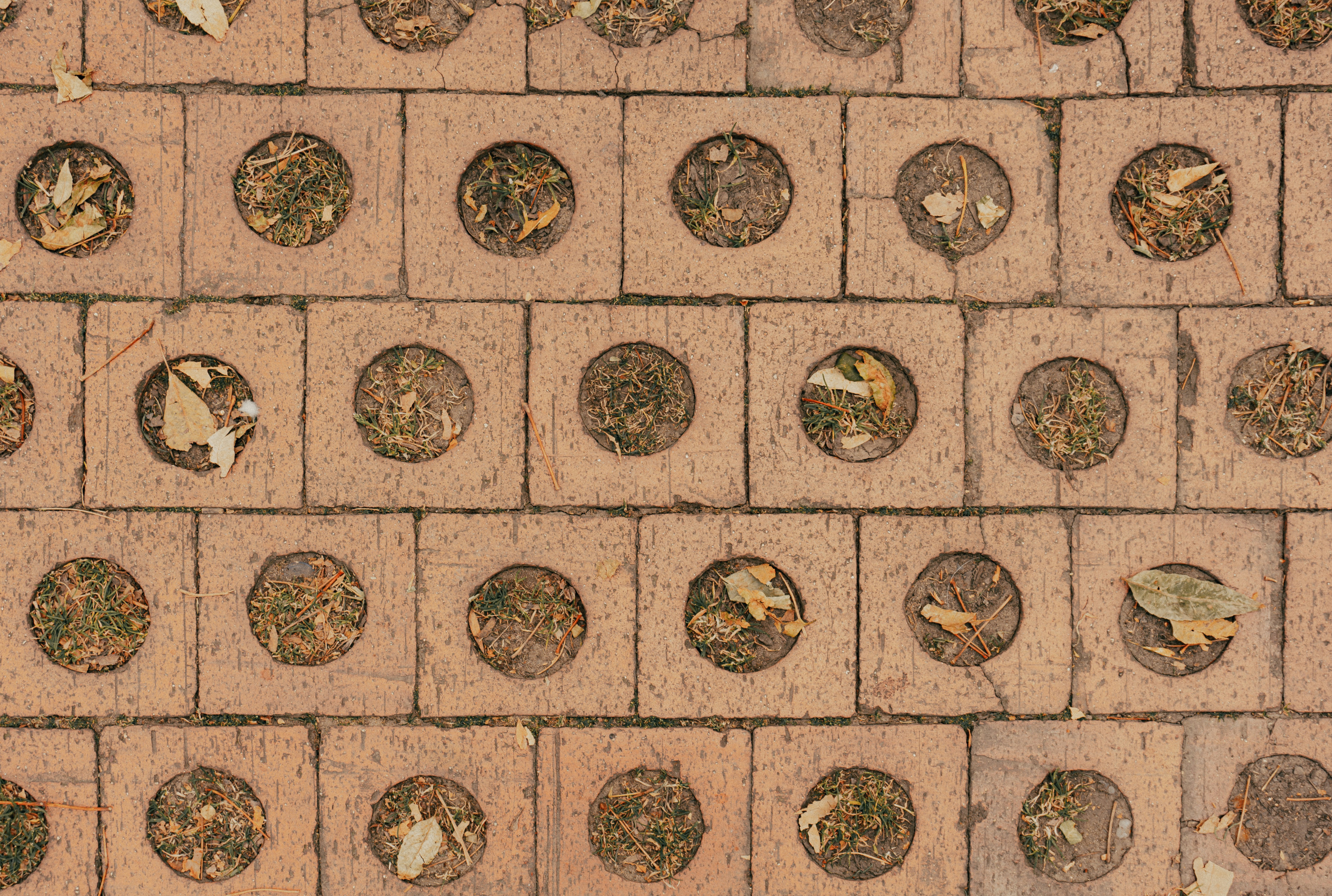 ancient coins wallpaper, wallpaper, Sejarah Uang Logam: Dari Masa Lalu Hingga Sekarang 6