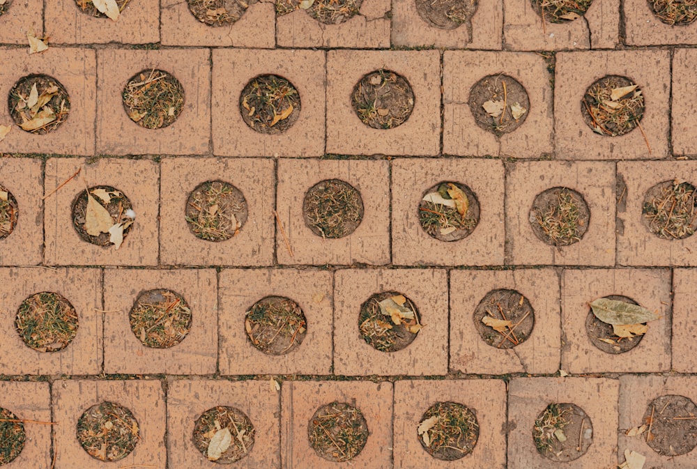 a close up of a brick wall with small circles on it