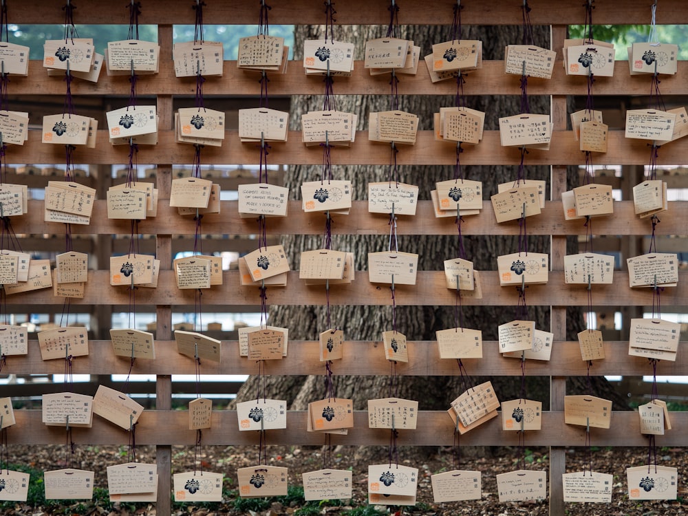 a series of photos of wooden signs attached to a tree
