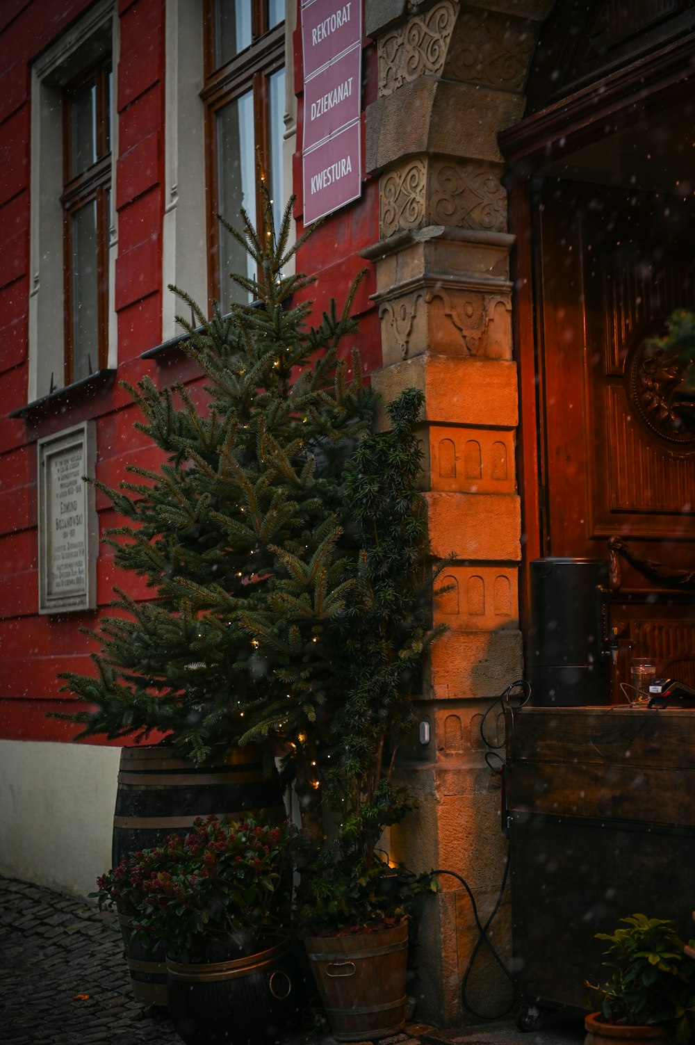 a small christmas tree in front of a building