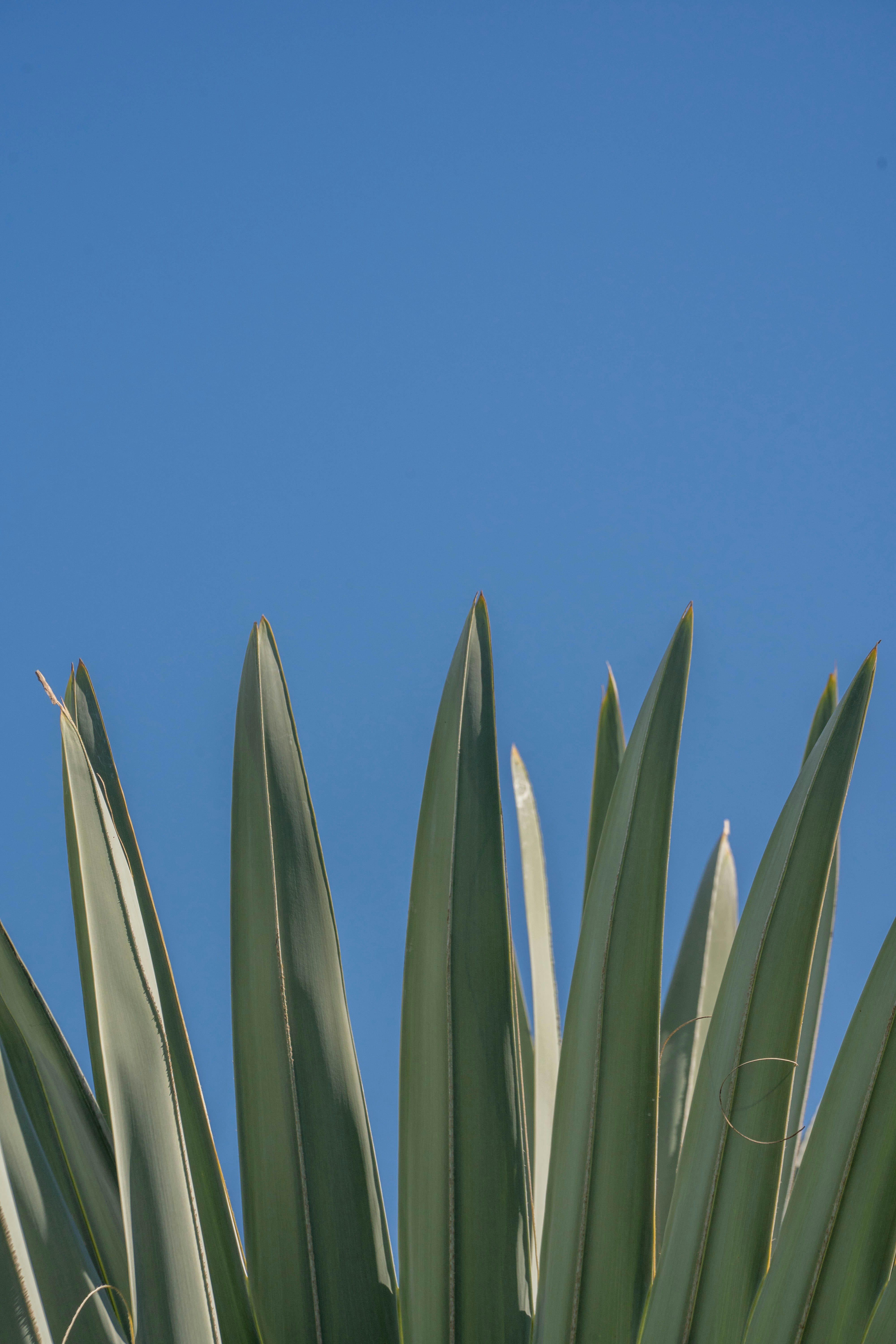 Photo by mrthetkhine