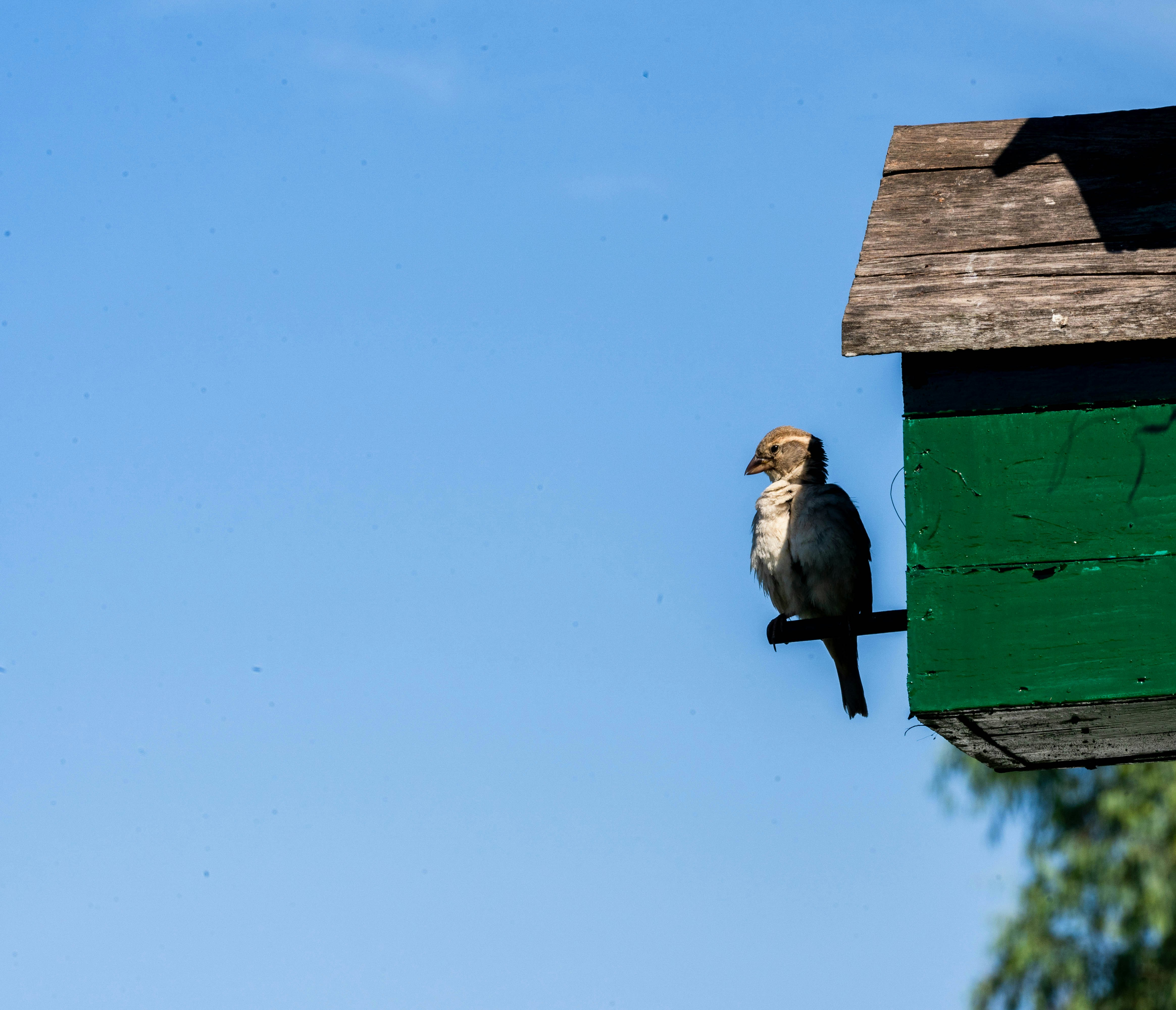 Photo by mrthetkhine