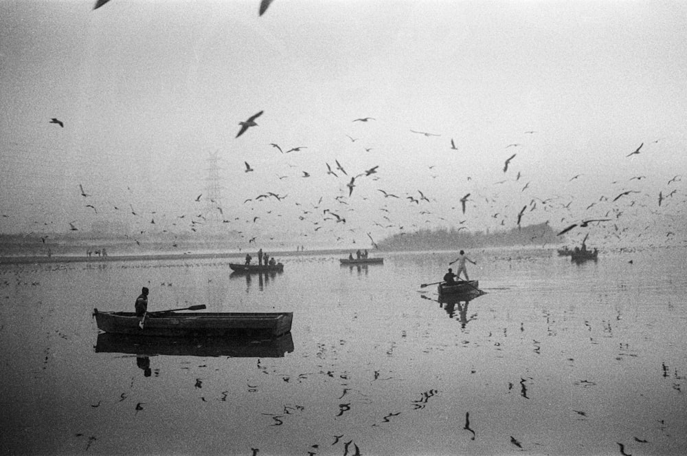a black and white photo of birds flying over a boat