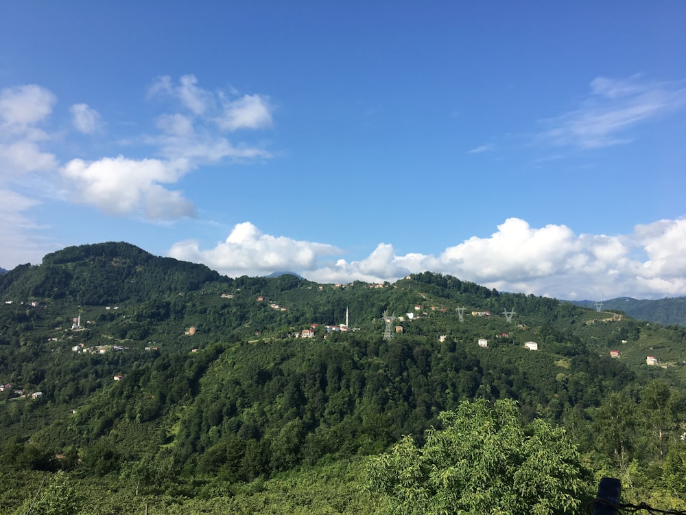 a lush green hillside covered in trees under a blue sky