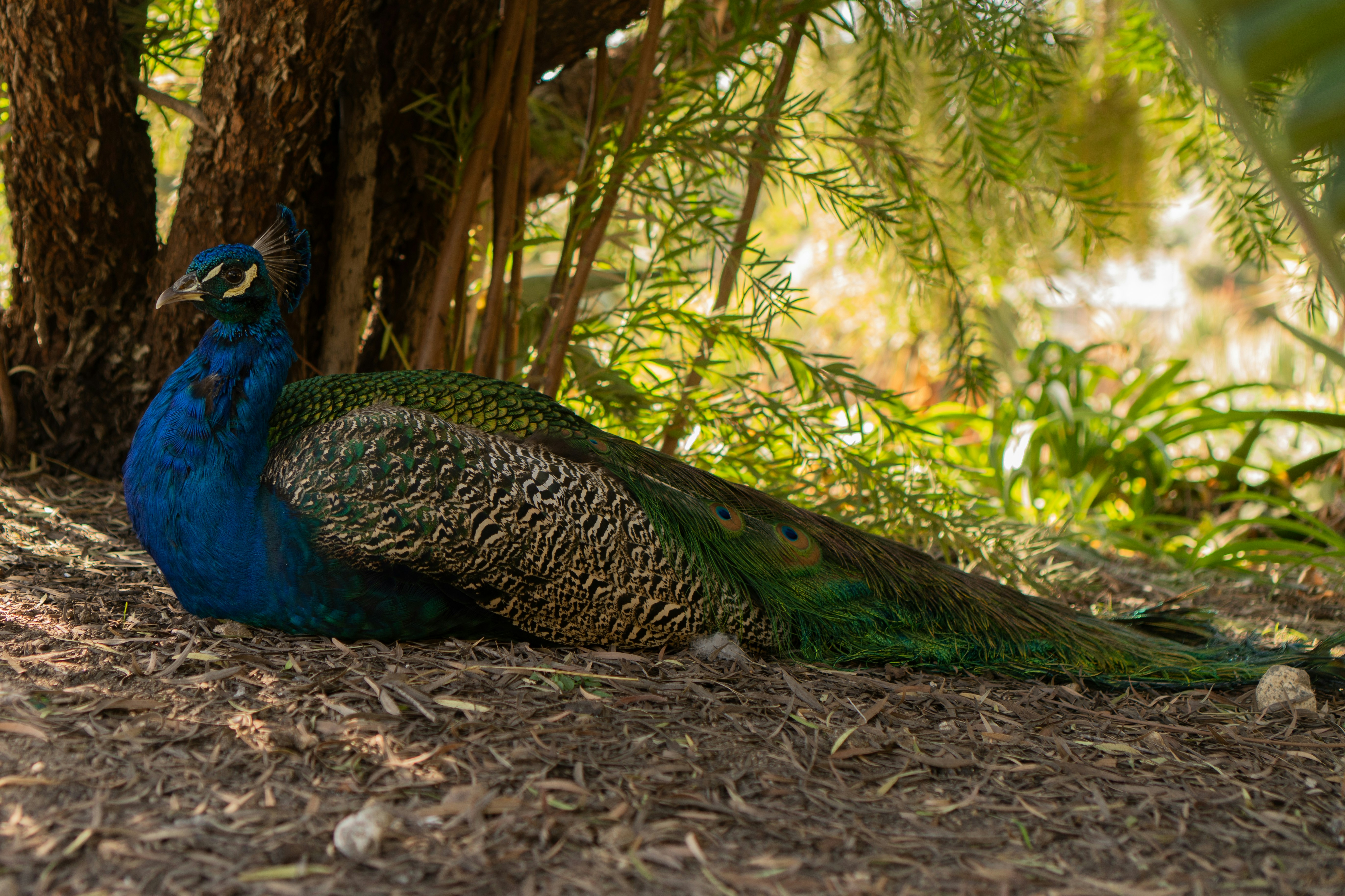 Photo by zhenyao_photo