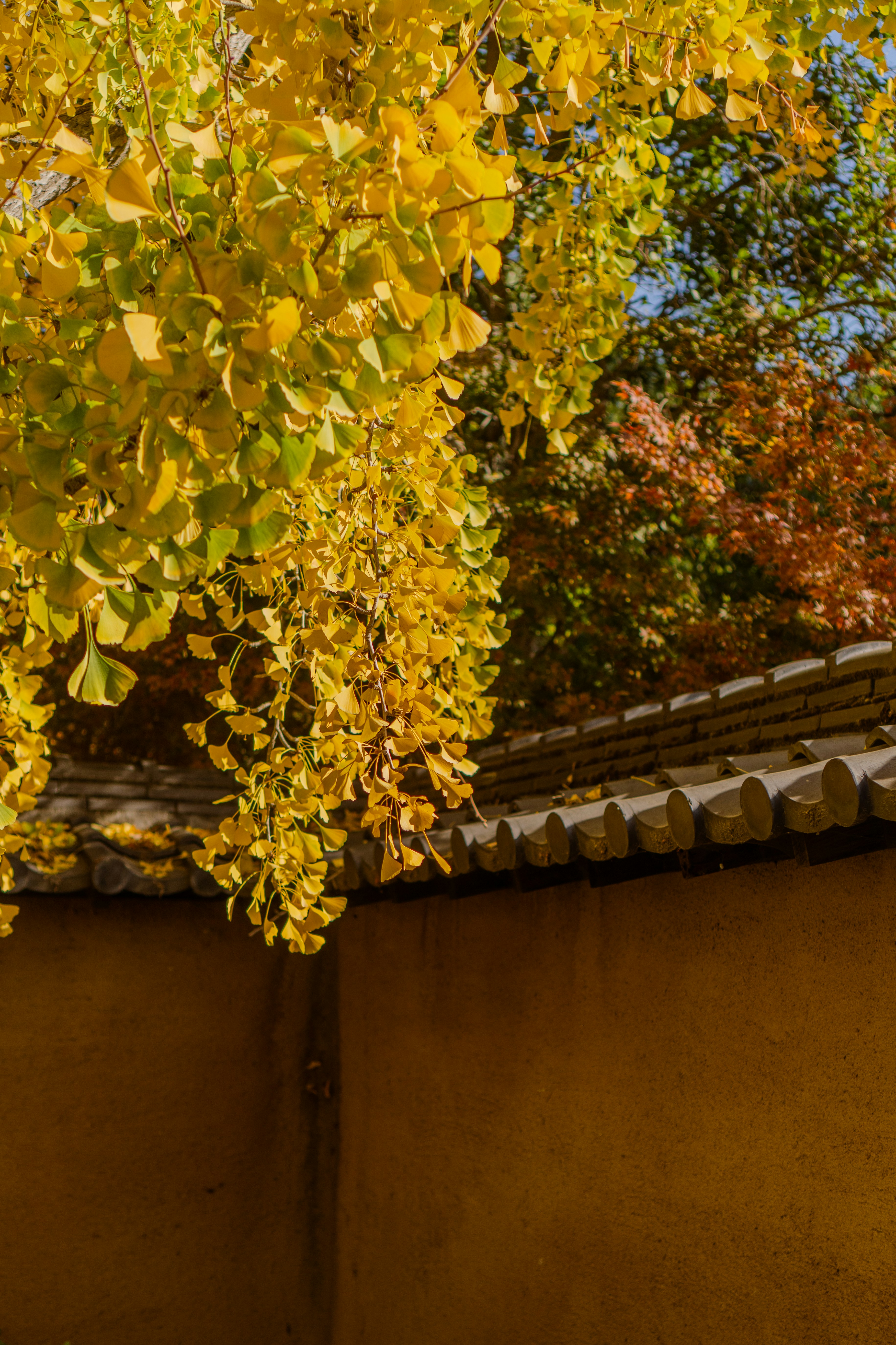 Photo by zhenyao_photo