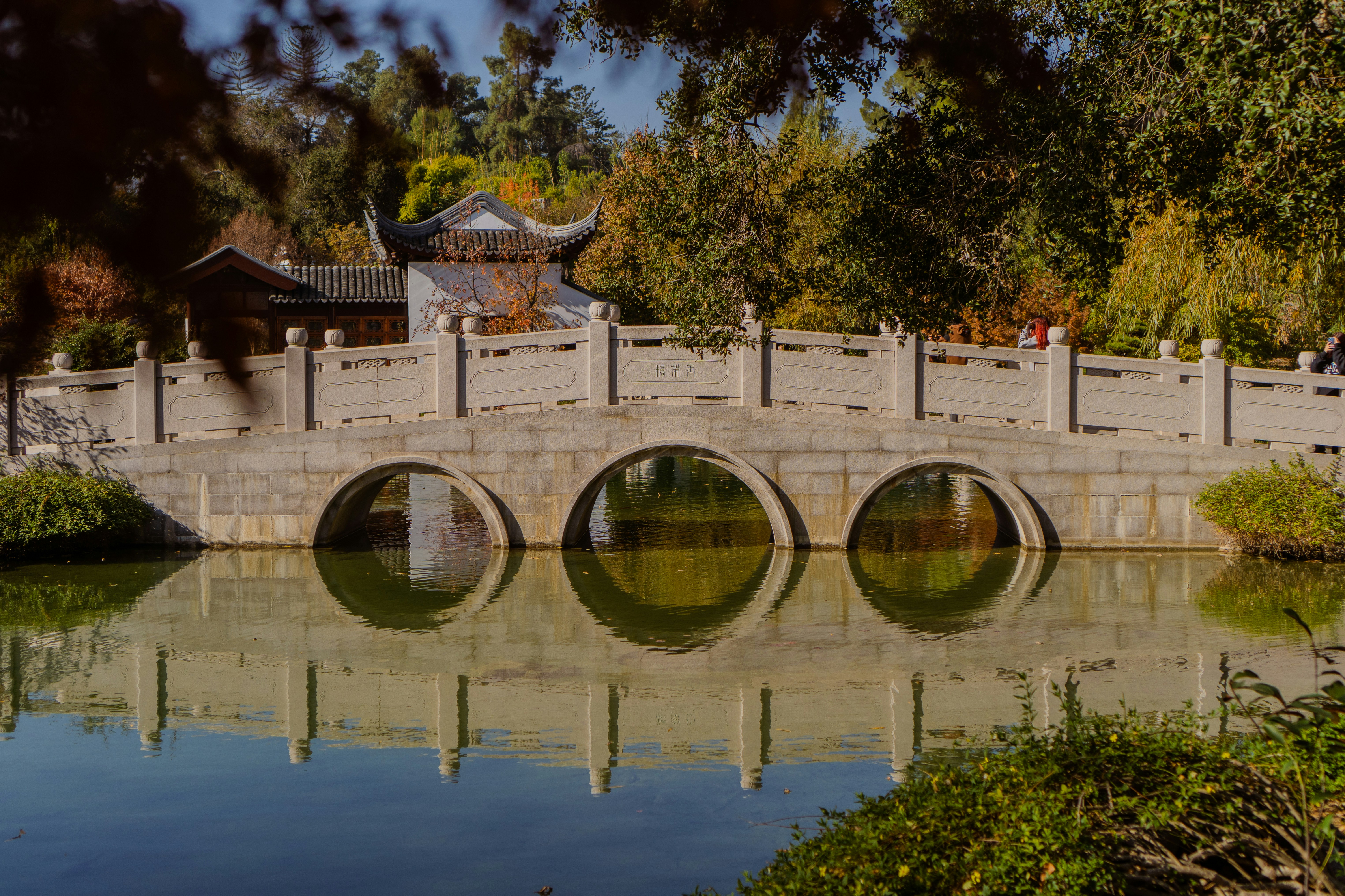 Photo by zhenyao_photo