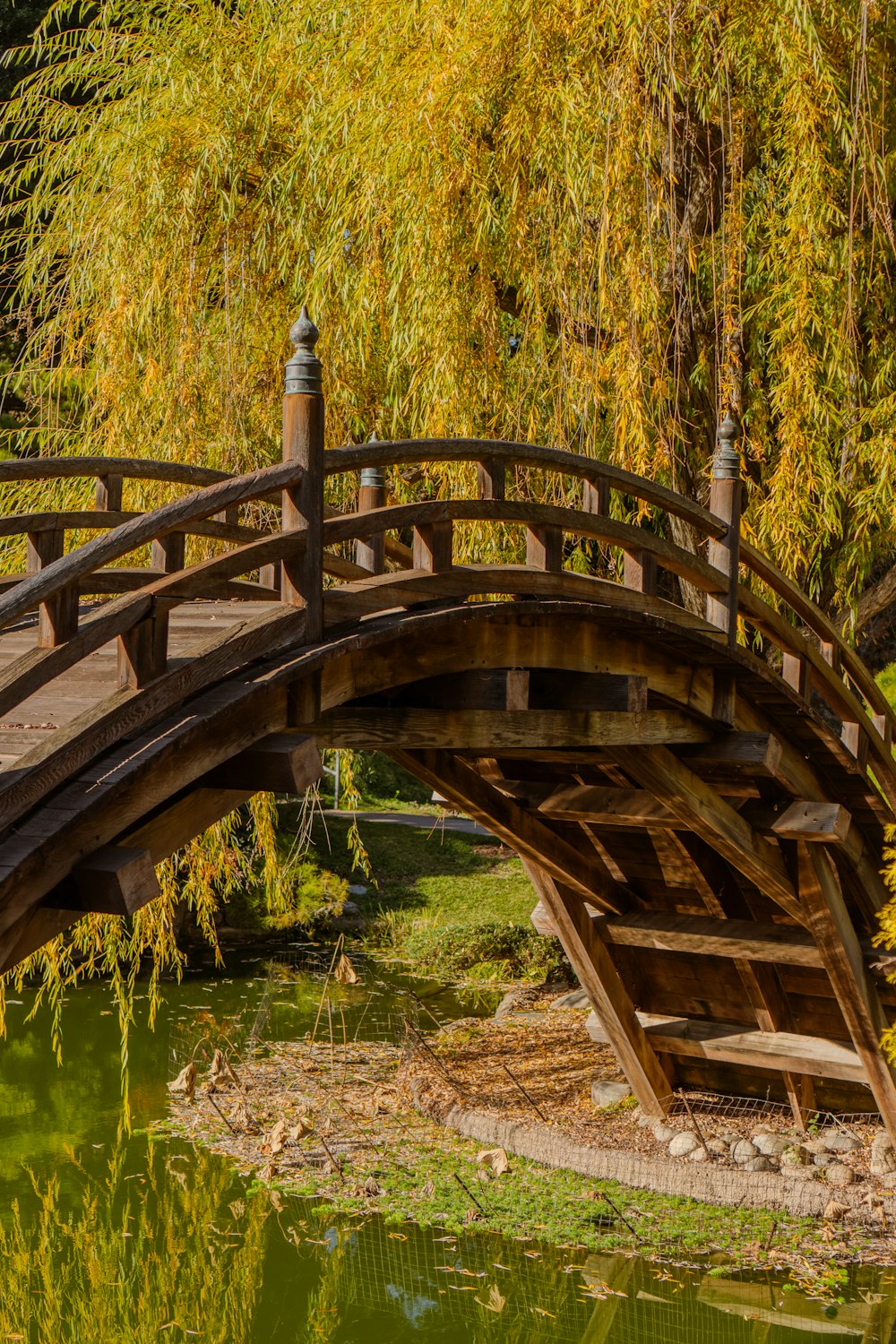 a wooden bridge over a body of water