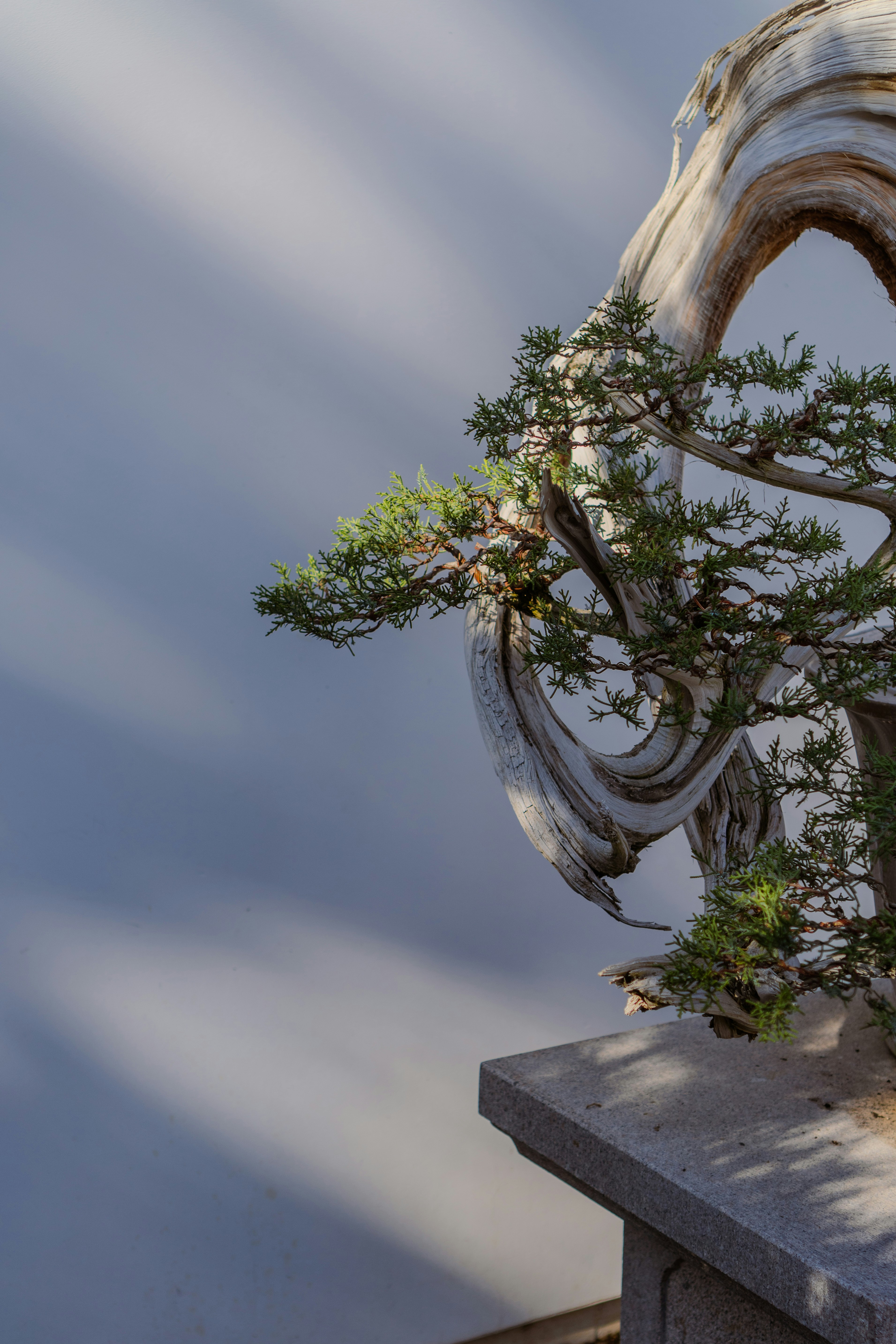 Photo by zhenyao_photo