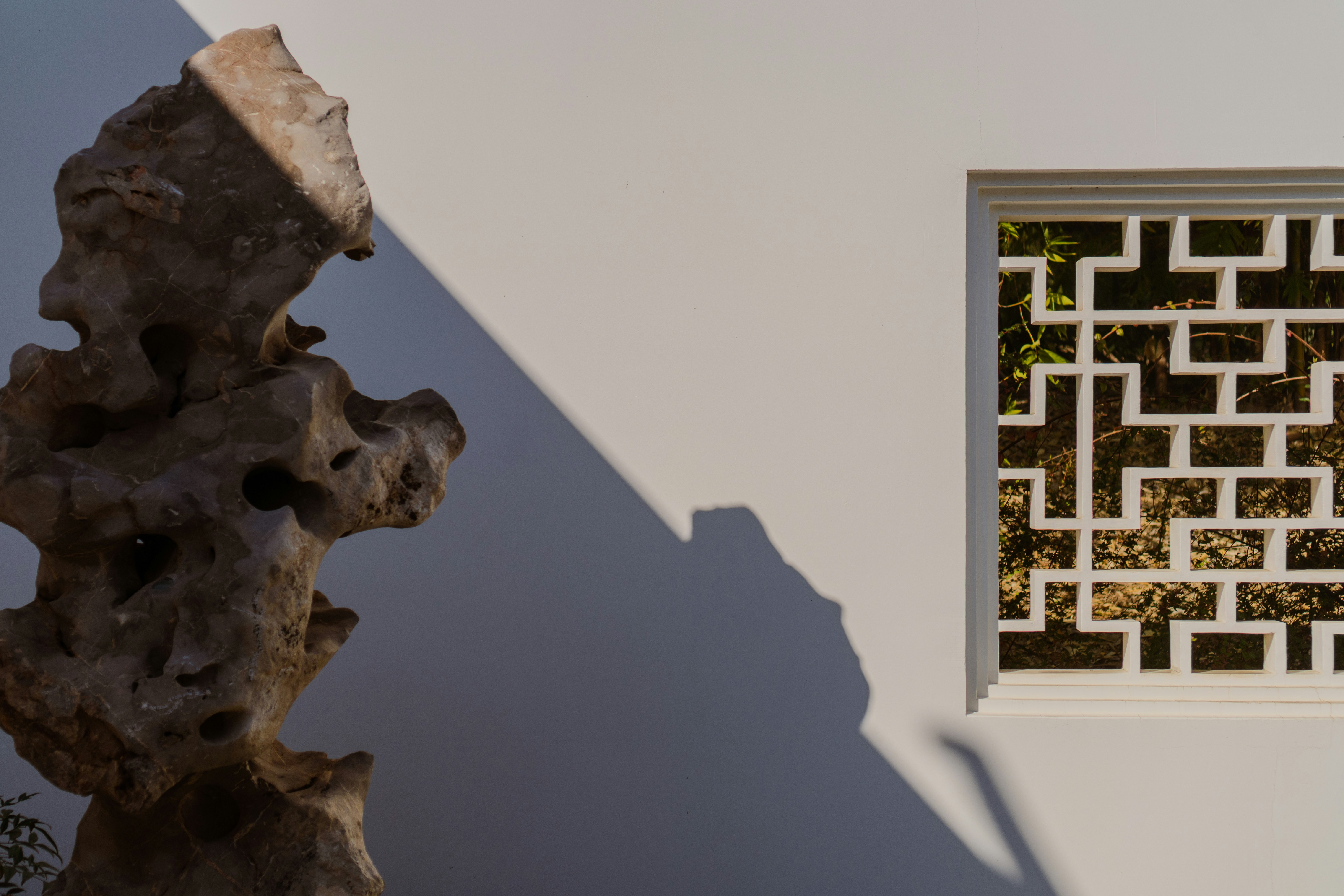 Photo by zhenyao_photo