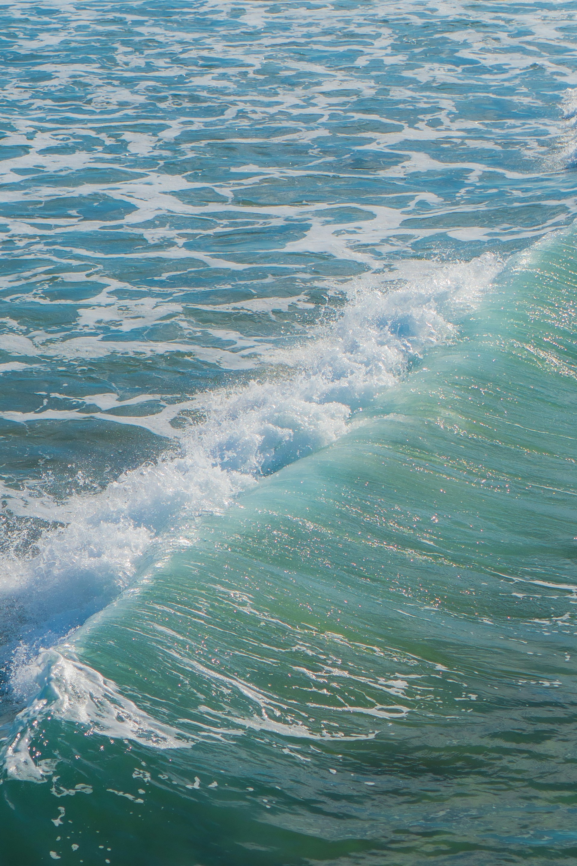 Photo by zhenyao_photo