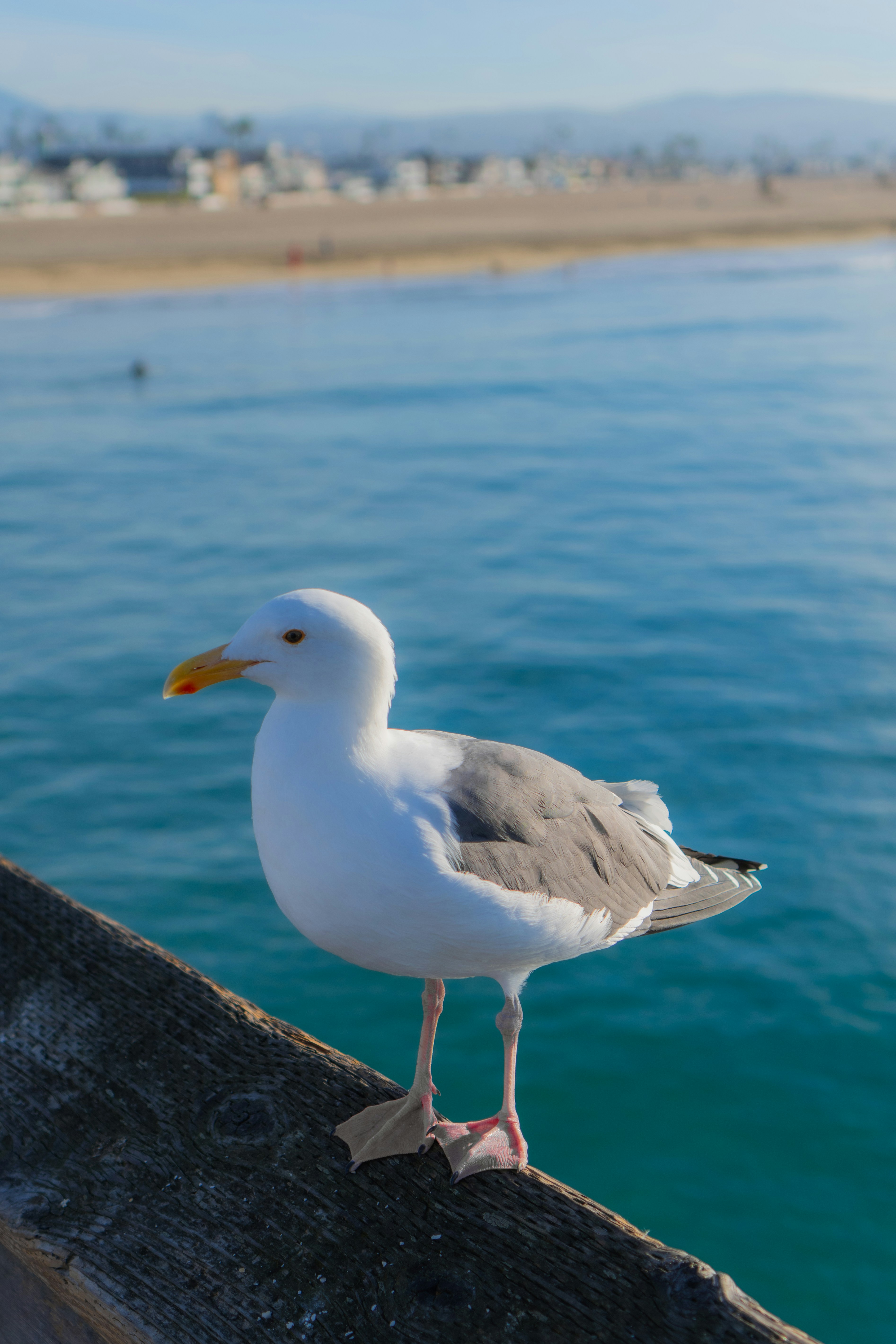 Photo by zhenyao_photo