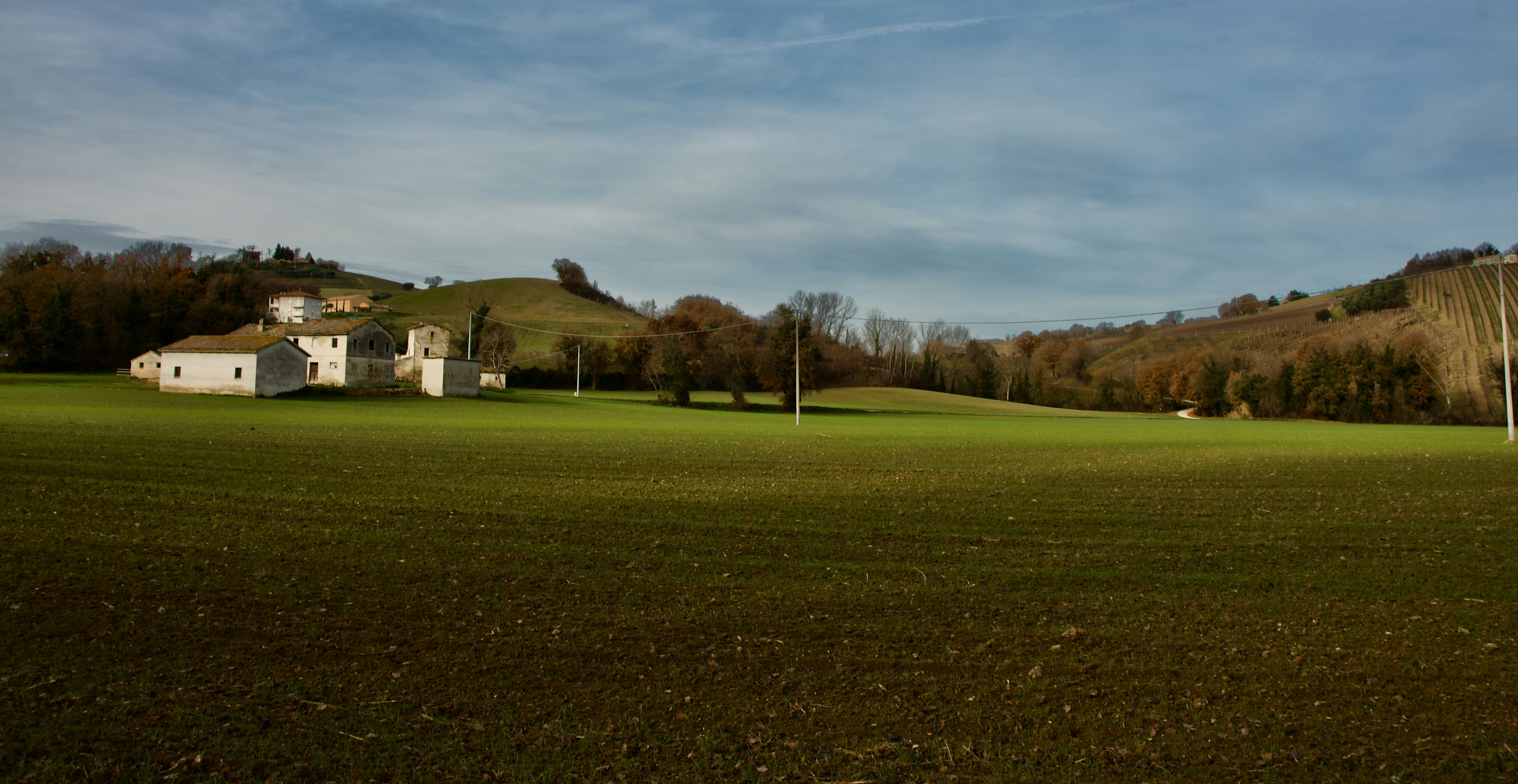 Field with house