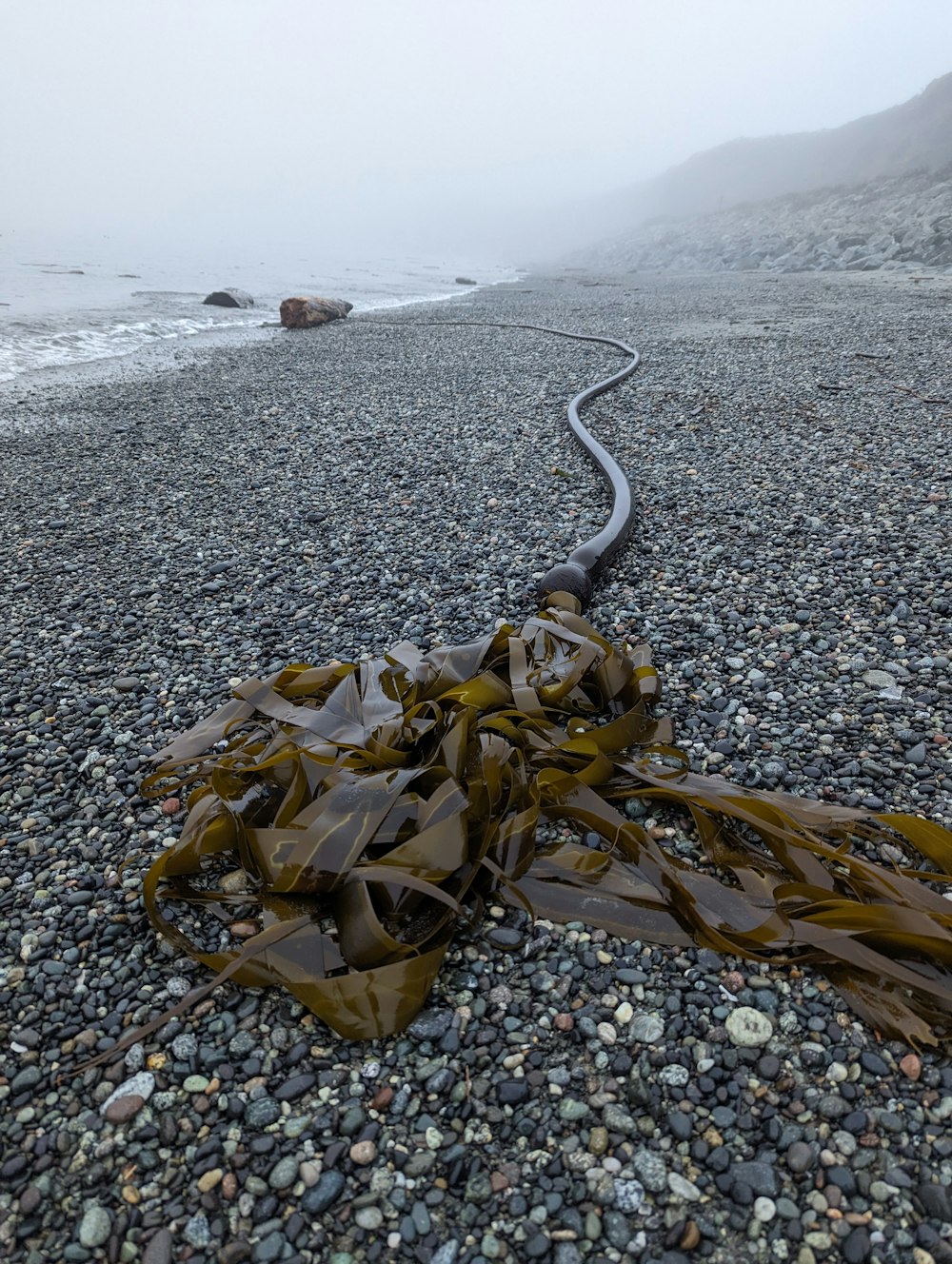 a long pipe laying on top of a rocky beach